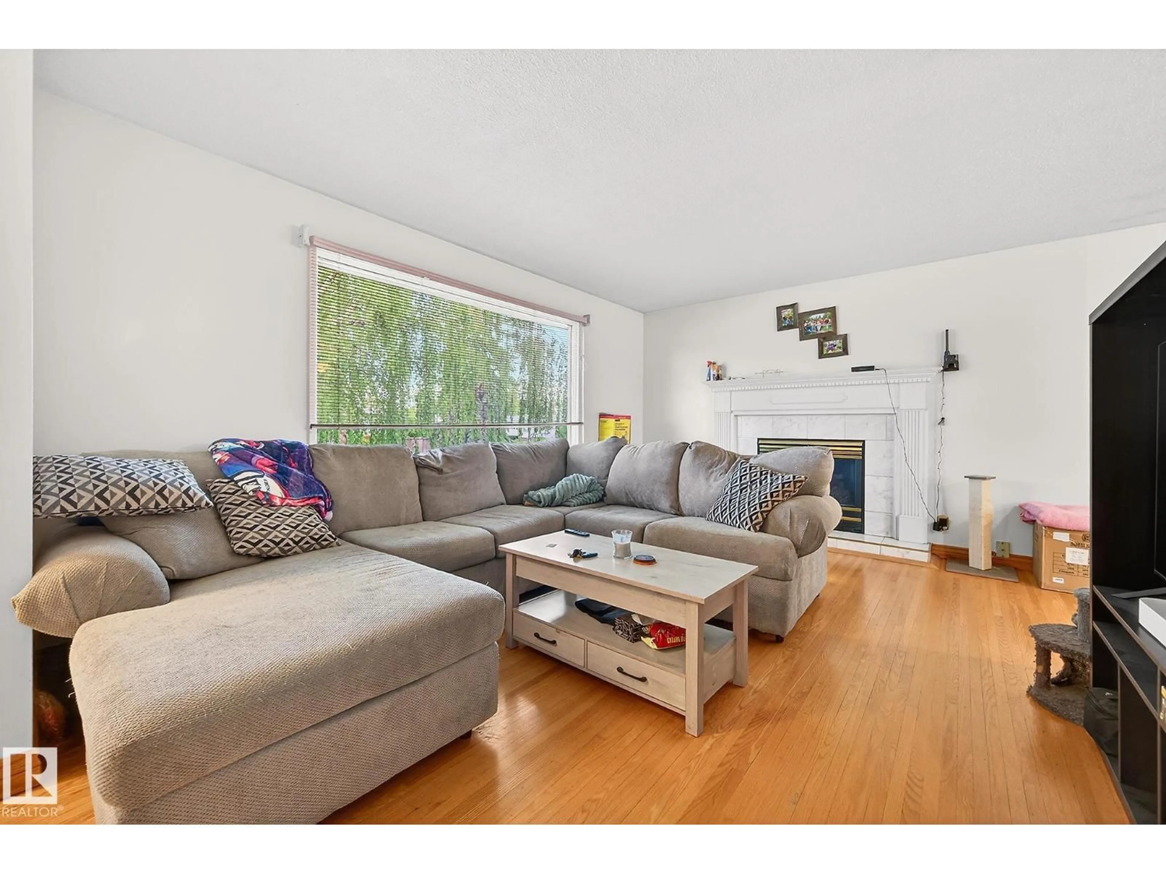 Living room with furniture, wood/laminate floor for NW - 8814 162 ST, Edmonton Alberta T5R2M4