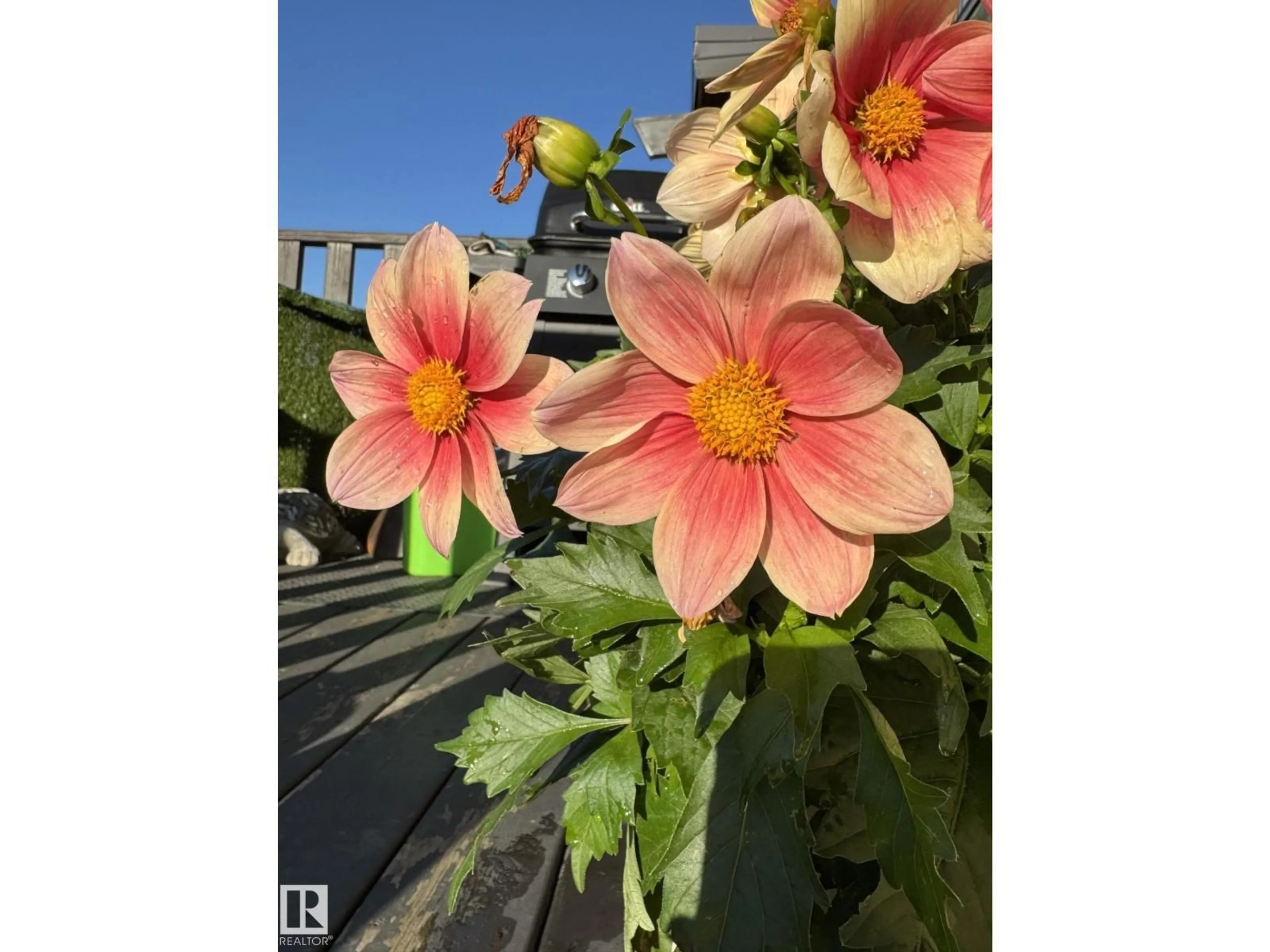 Blurry image for 14622 118 STREET NW, Edmonton Alberta T5X2J4