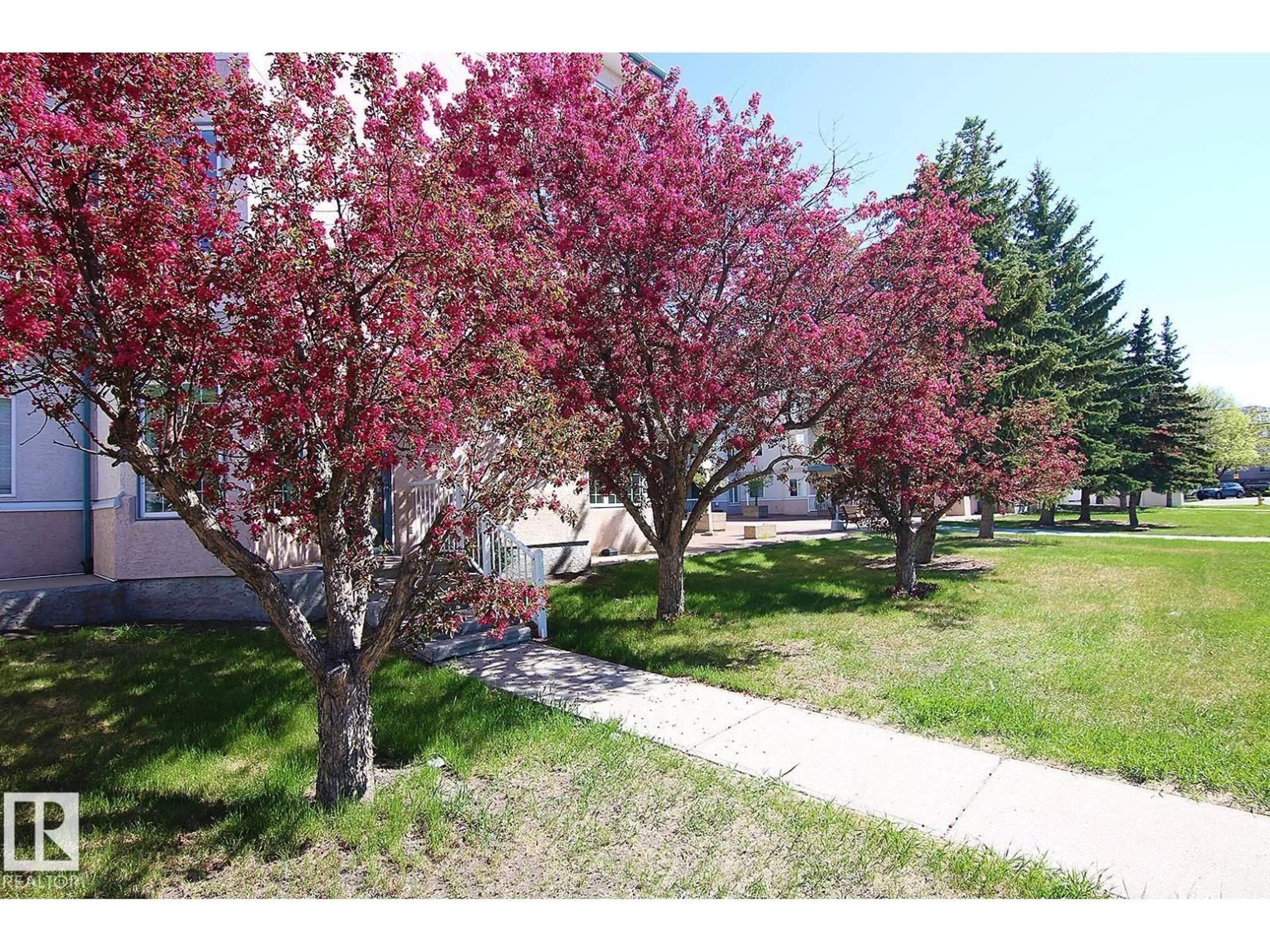A pic from outside/outdoor area/front of a property/back of a property/a pic from drone, street for 308 - 17150 94A AV NW, Edmonton Alberta T5T6L7