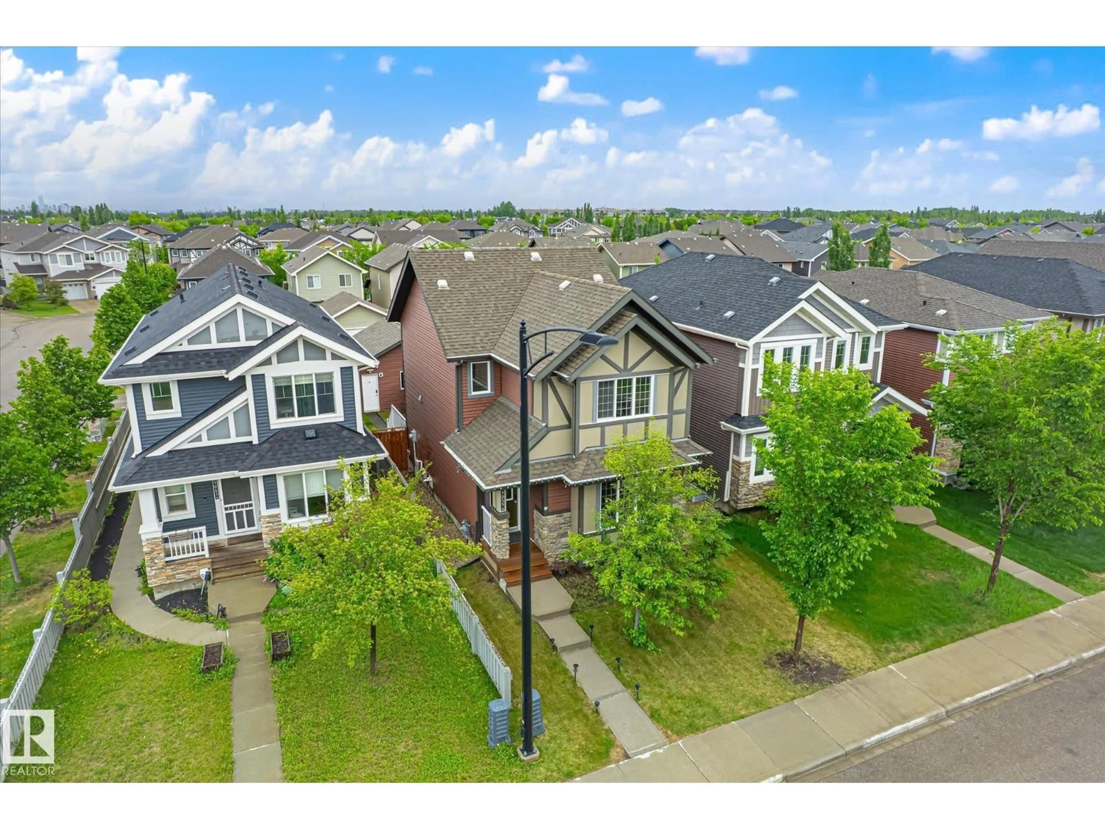 A pic from outside/outdoor area/front of a property/back of a property/a pic from drone, street for 9039 219 ST, Edmonton Alberta T5T6Z8