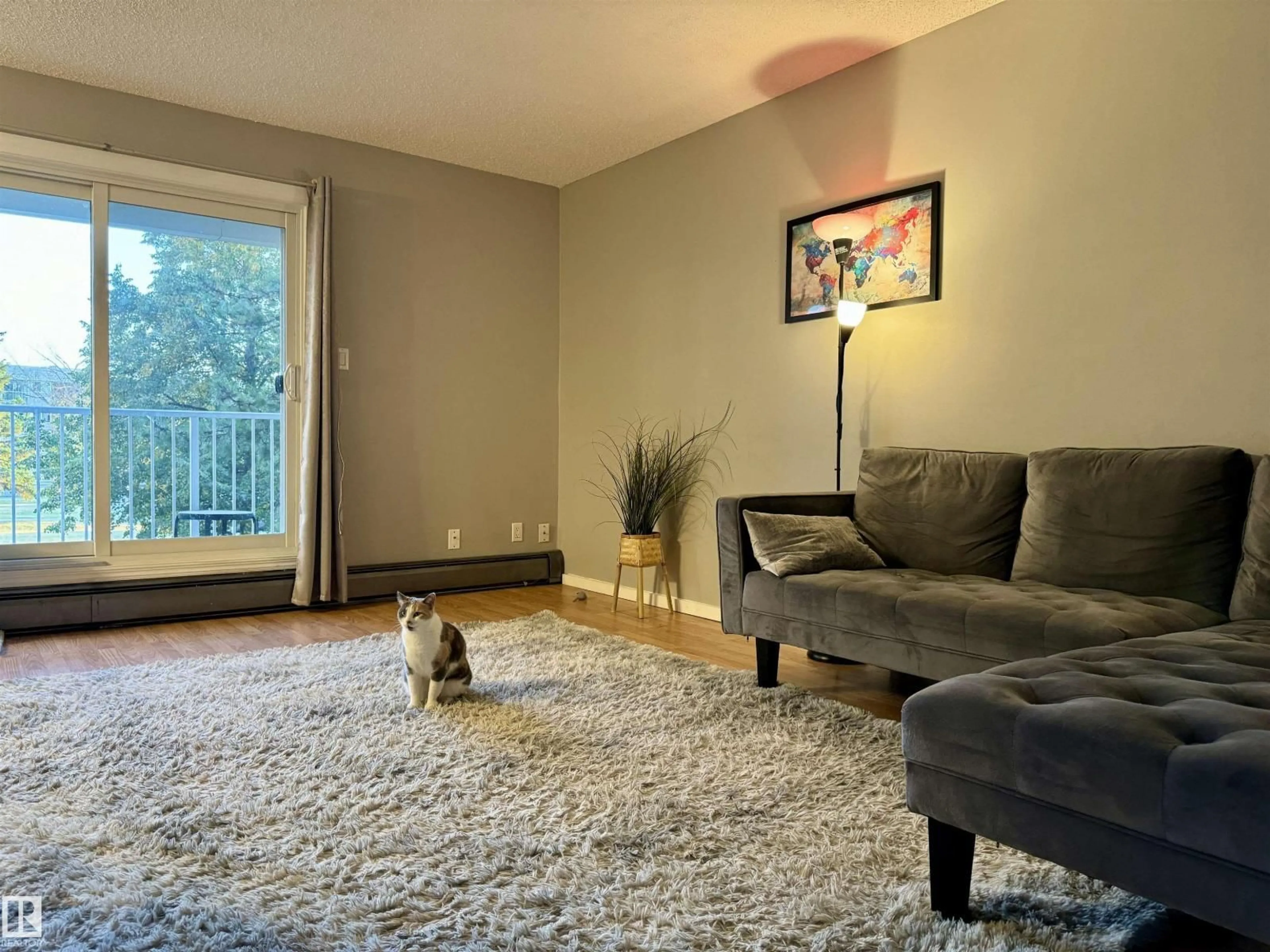 Living room with furniture, carpet floor for 31 - 11255 31 AV, Edmonton Alberta T6J3V6