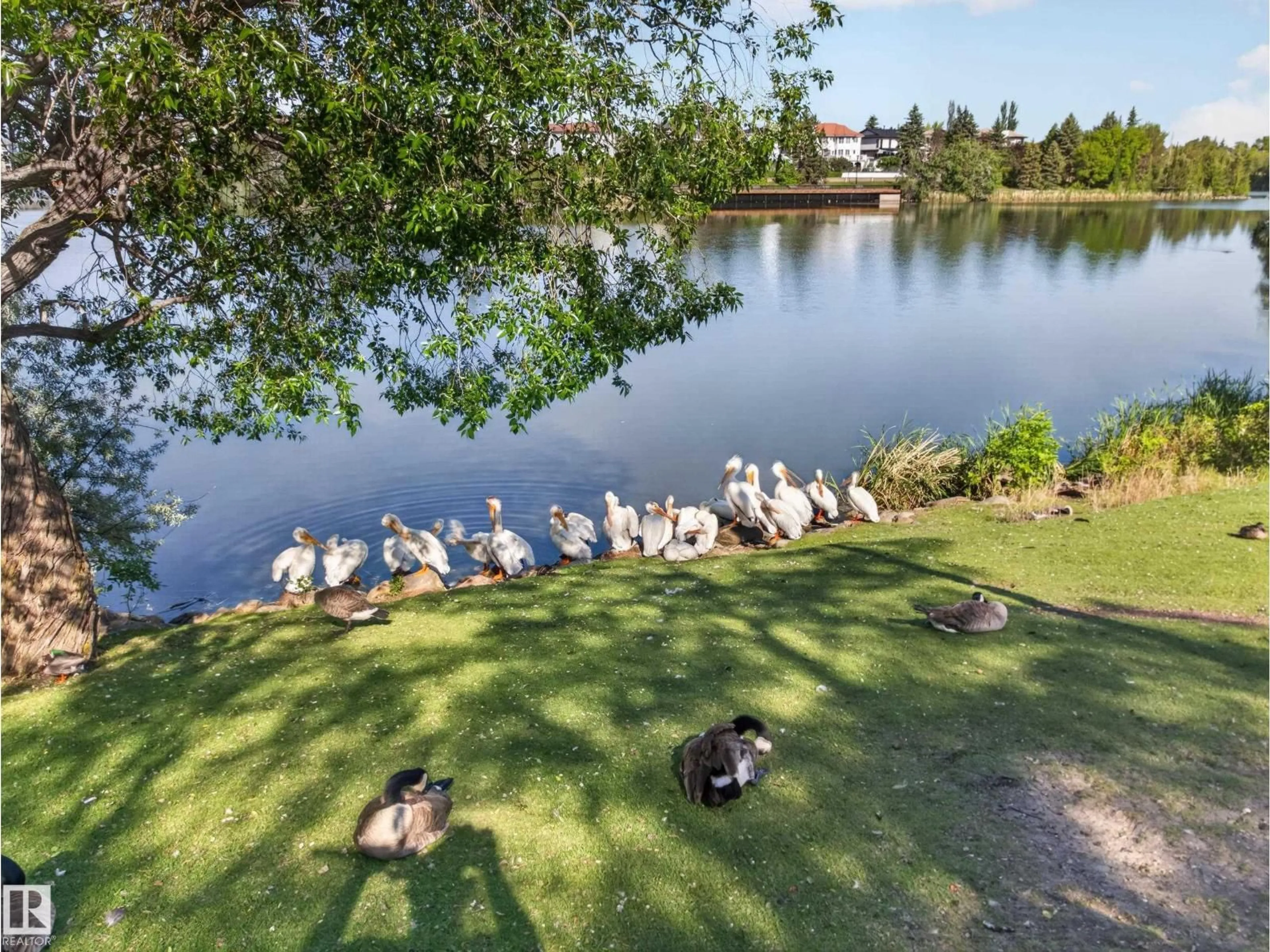 A pic from outside/outdoor area/front of a property/back of a property/a pic from drone, water/lake/river/ocean view for #17 - 15710 BEAUMARIS RD, Edmonton Alberta T5X5E2