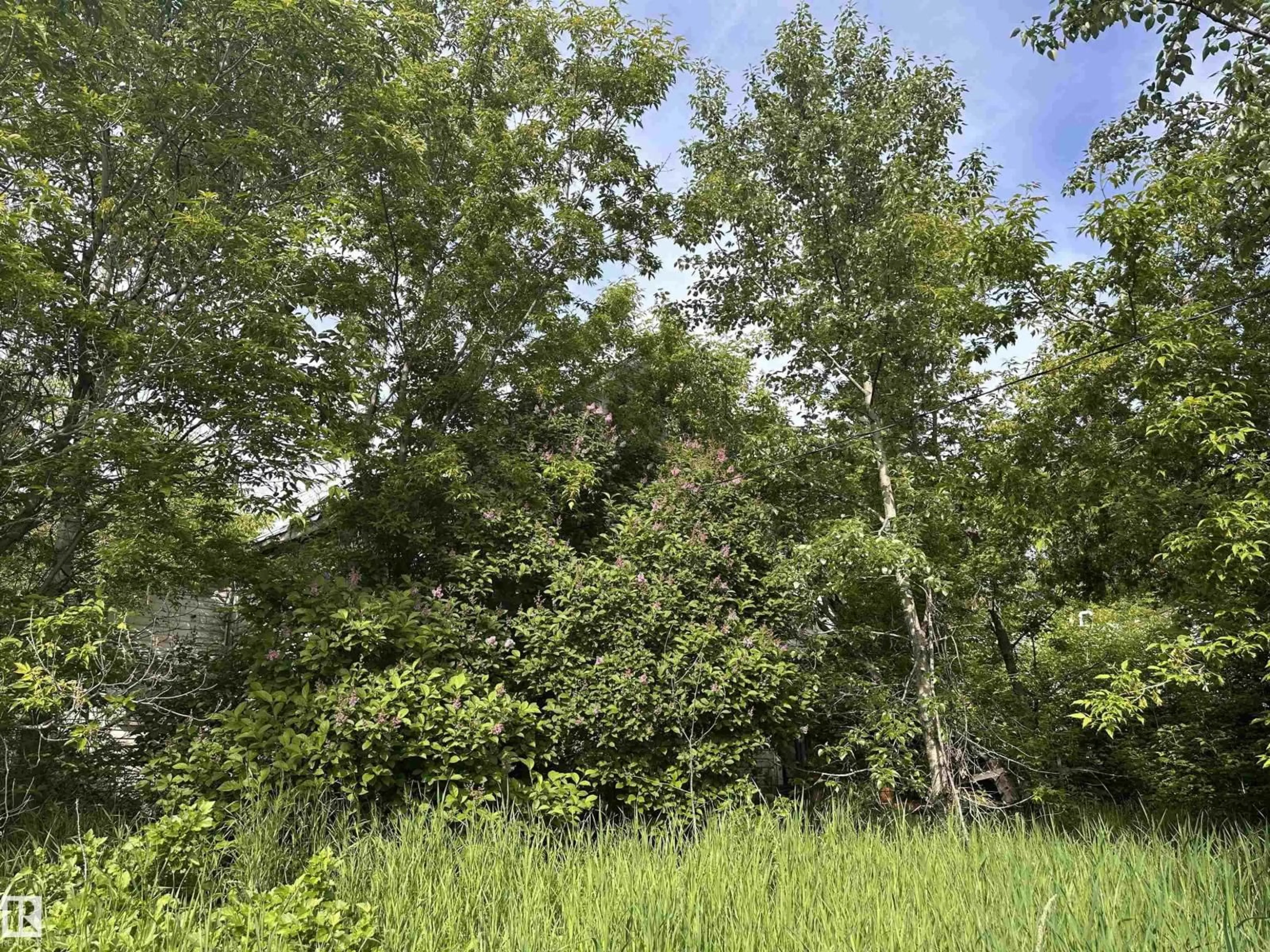Unknown for 5011 50 AV, Fawcett Alberta T0G0Y0