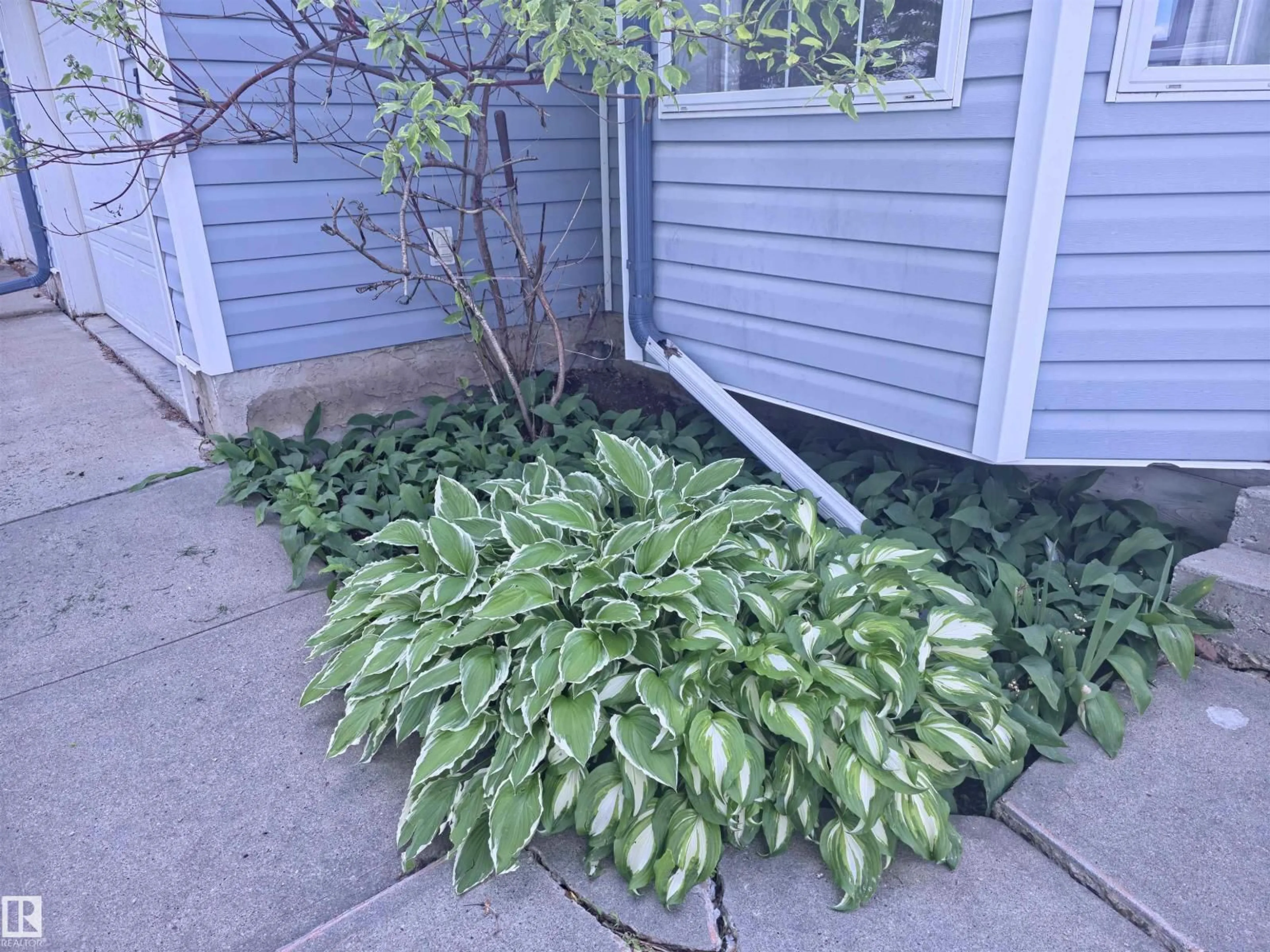 Patio, street for 12237 140A AV, Edmonton Alberta T5X6E6