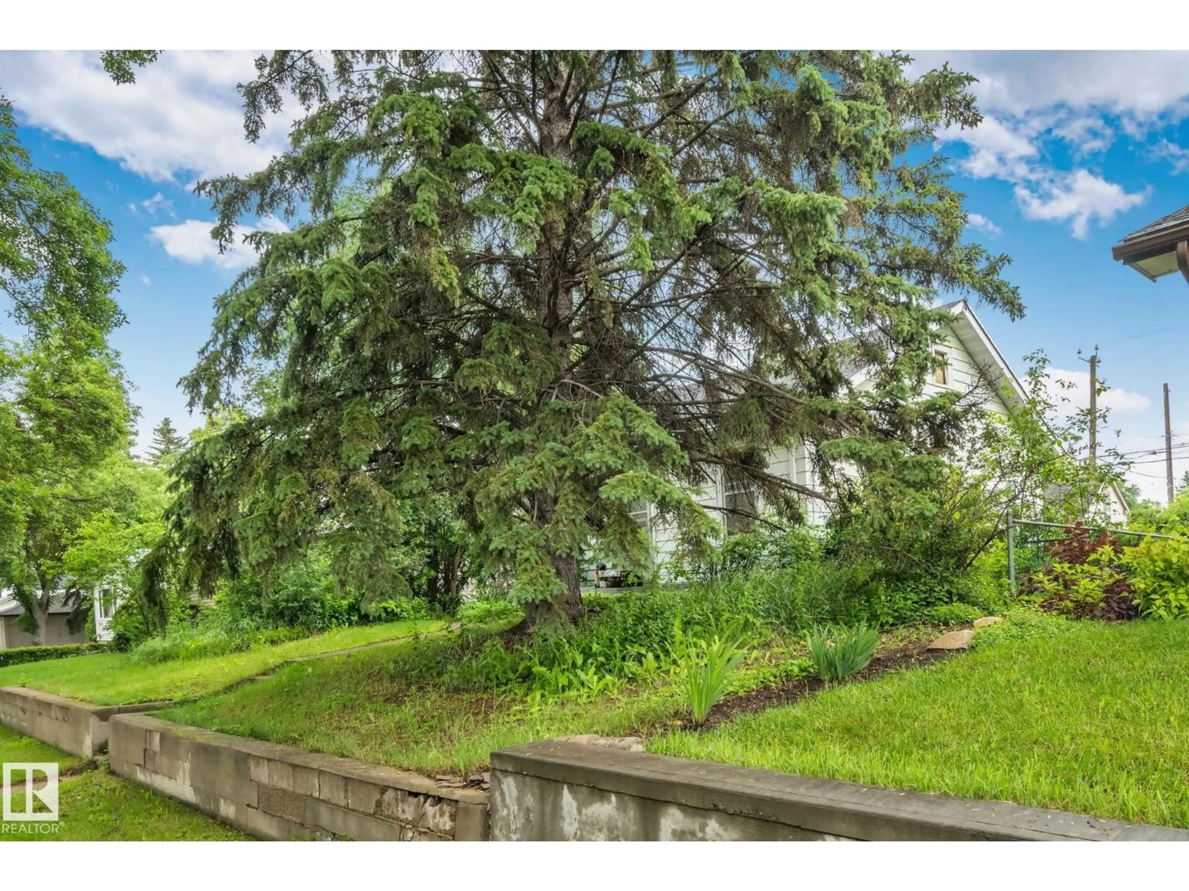 A pic from outside/outdoor area/front of a property/back of a property/a pic from drone, forest/trees view for 11209 38 ST, Edmonton Alberta T5W2G3