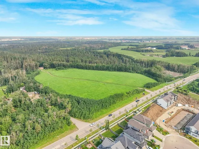 556 MERLIN LANDING LD, Edmonton 5