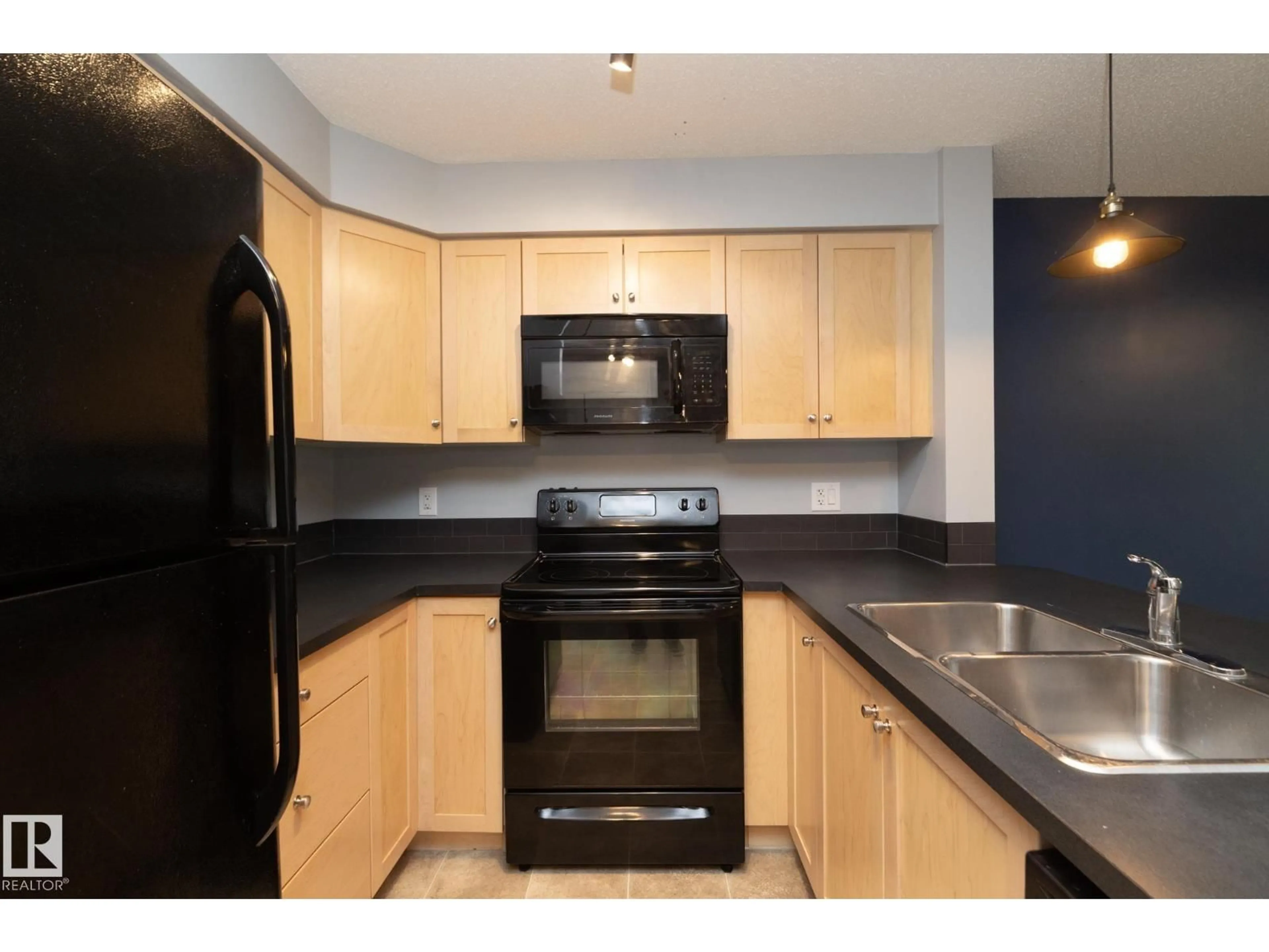 Standard kitchen, unknown for #208 - 3719 WHITELAW LN, Edmonton Alberta T6W2C3
