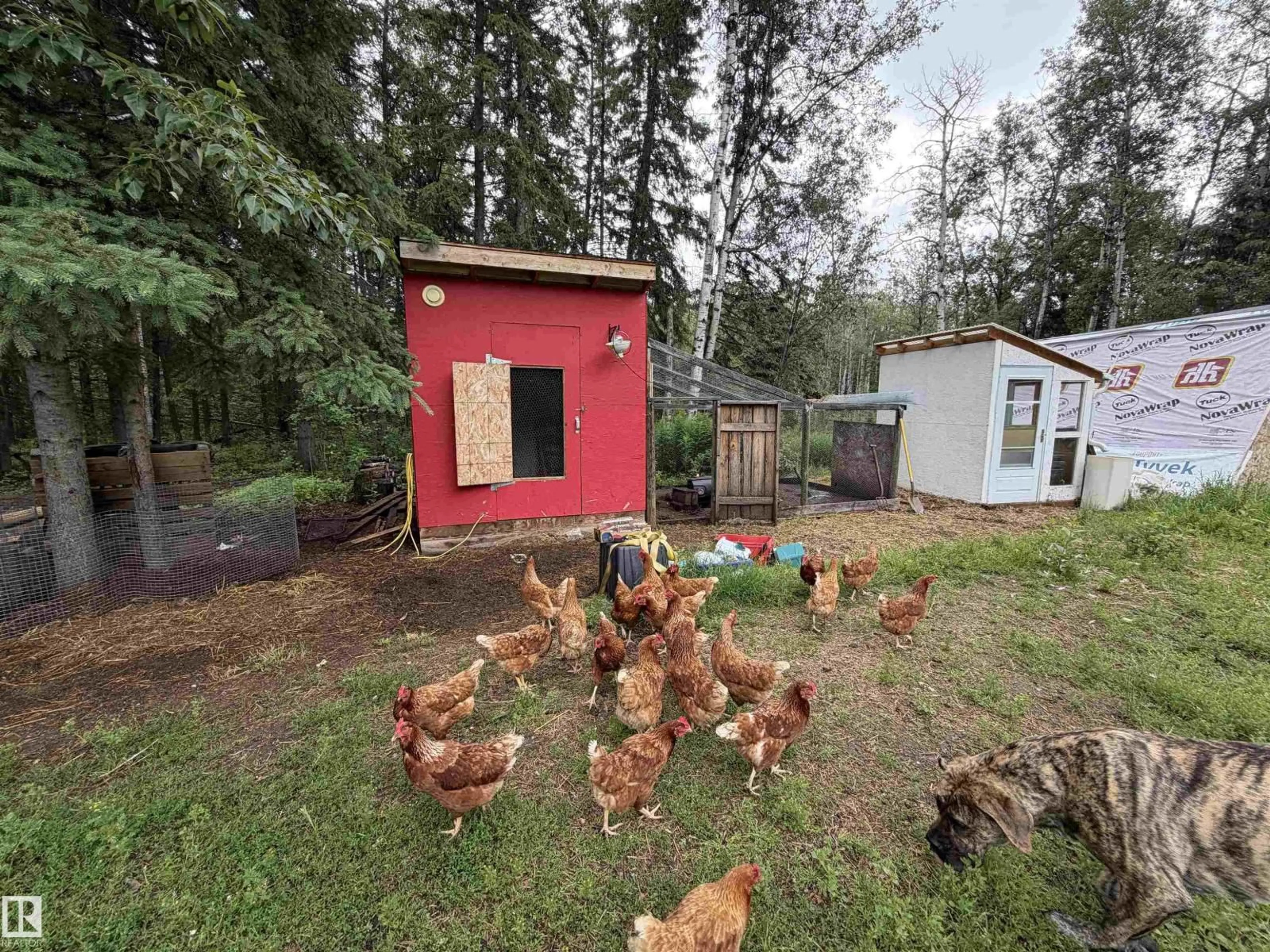 Shed for 644081 RGE ROAD 235, Rural Athabasca County Alberta T9S2A9