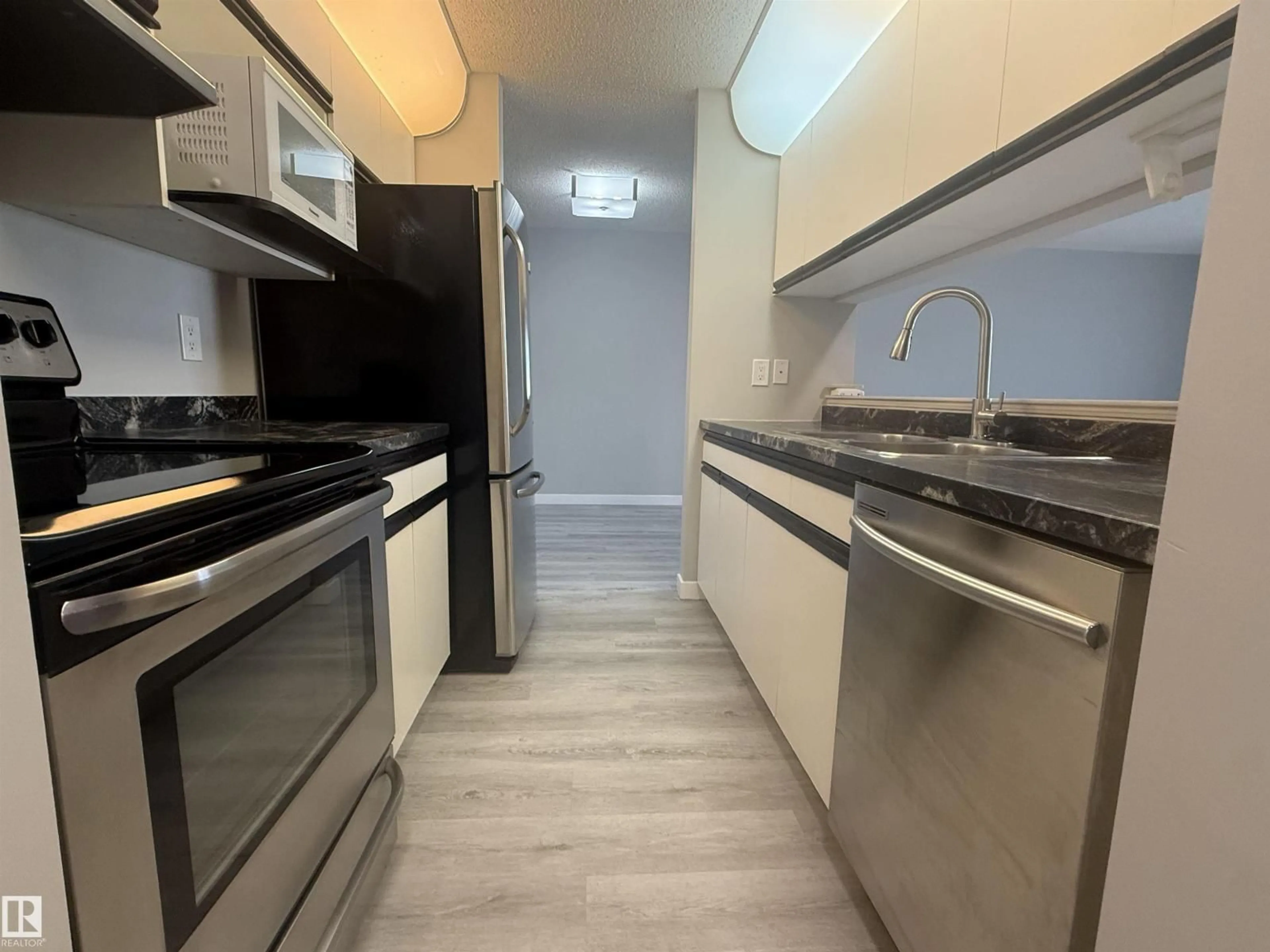 Standard kitchen, unknown for #303 - 17467 98A AV, Edmonton Alberta T5T6E9
