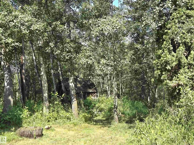 22231 TWP ROAD 514A, Rural Strathcona County 5