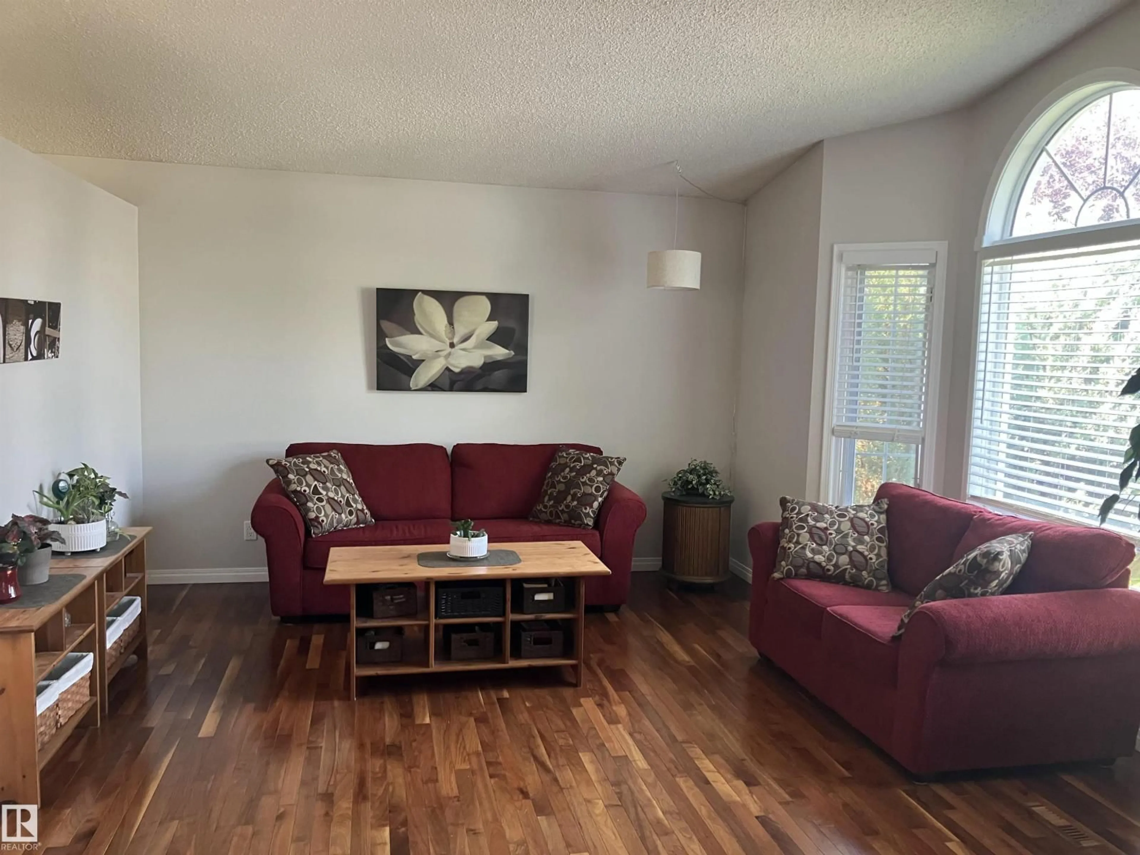 Living room with furniture, wood/laminate floor for 8029 17A AV, Edmonton Alberta T6K4E1