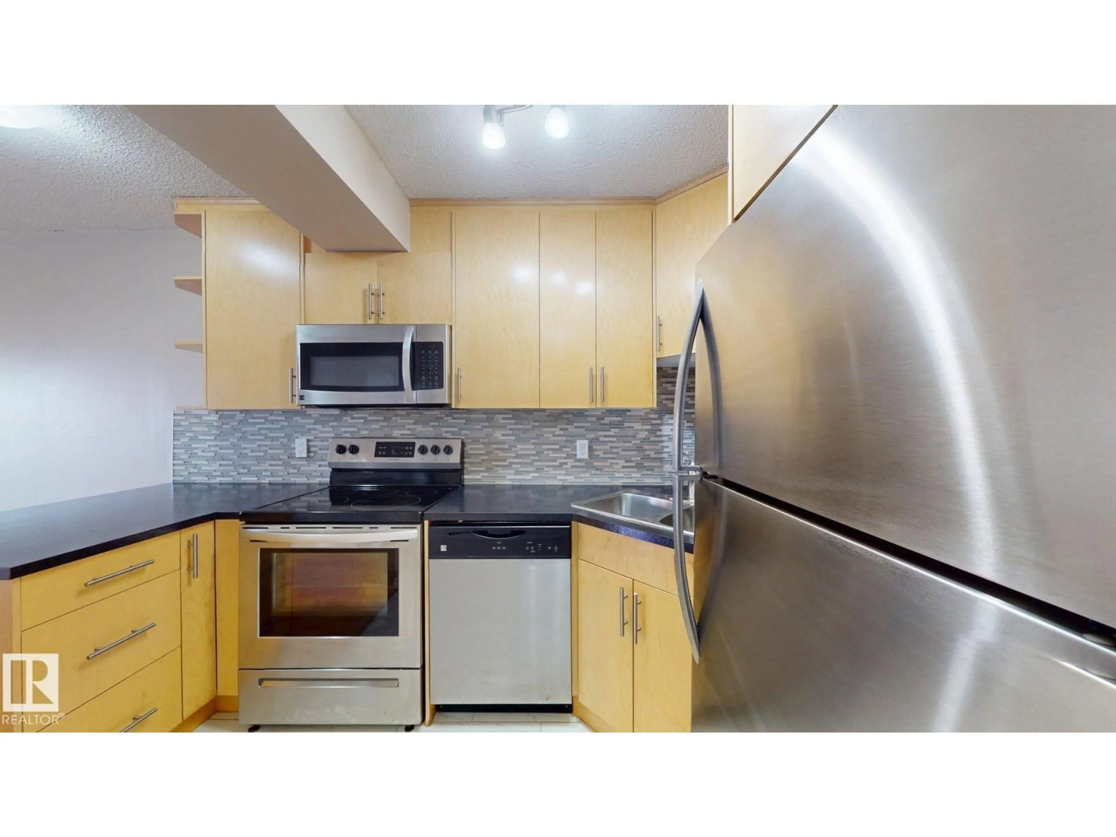 Standard kitchen, unknown for #307 - 10140 120 STREET, Edmonton Alberta T5K1Z8
