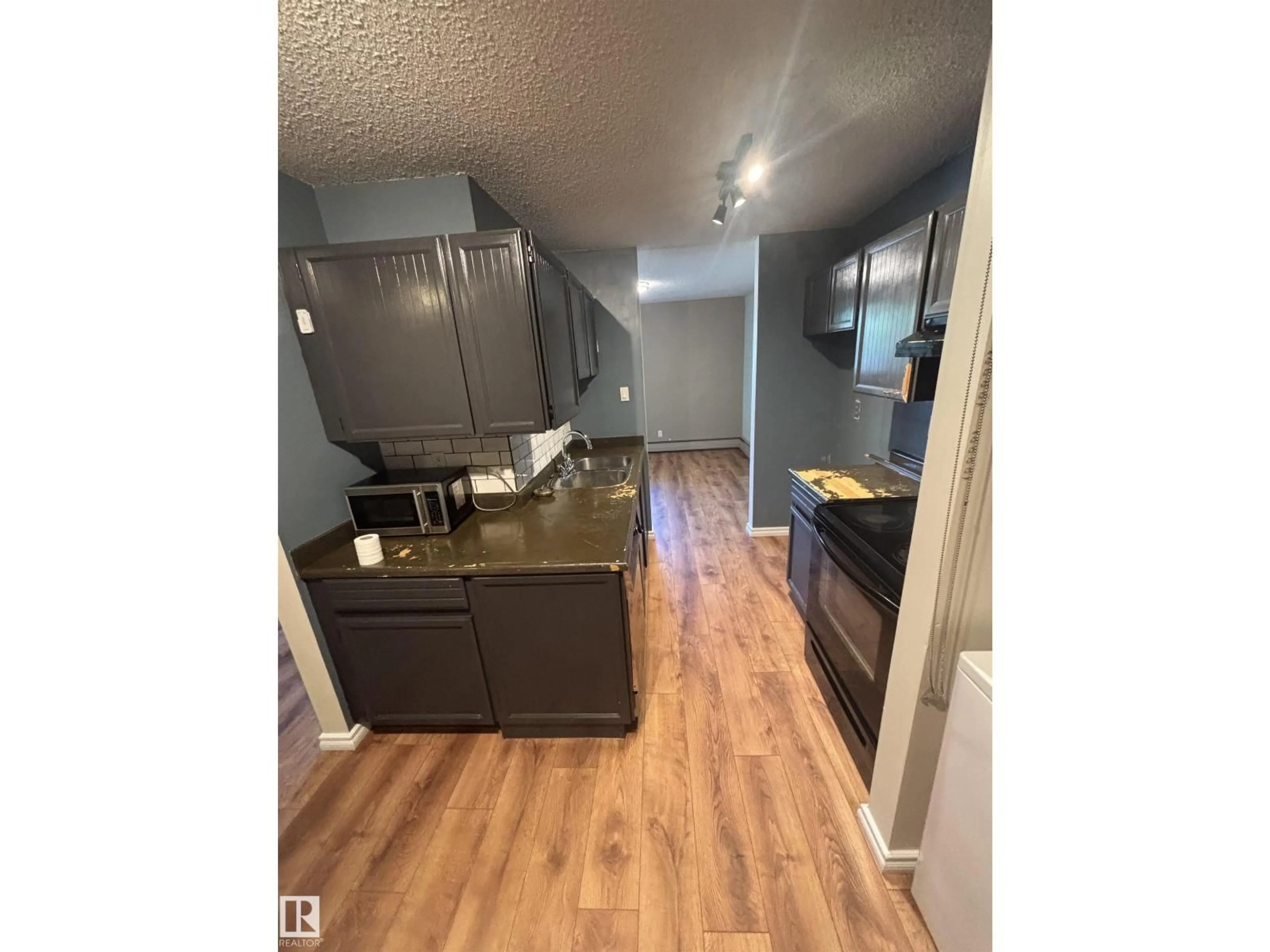 Open concept kitchen, wood/laminate floor for 206 - 2311 119 ST, Edmonton Alberta T6J4E2