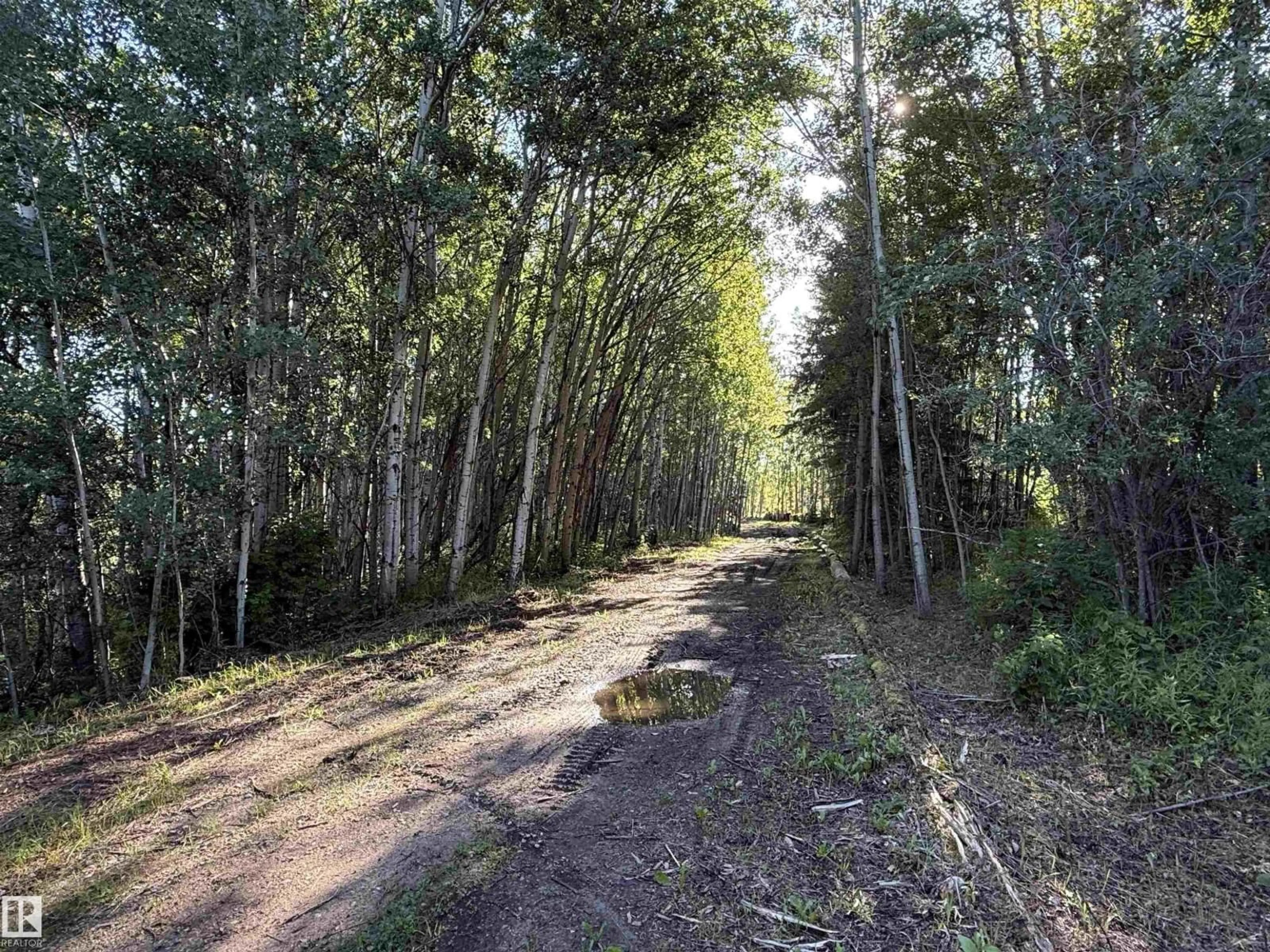 A pic from outside/outdoor area/front of a property/back of a property/a pic from drone, forest/trees view for 7 - 53104 RGE ROAD 13, Rural Parkland County Alberta T7Y2T2