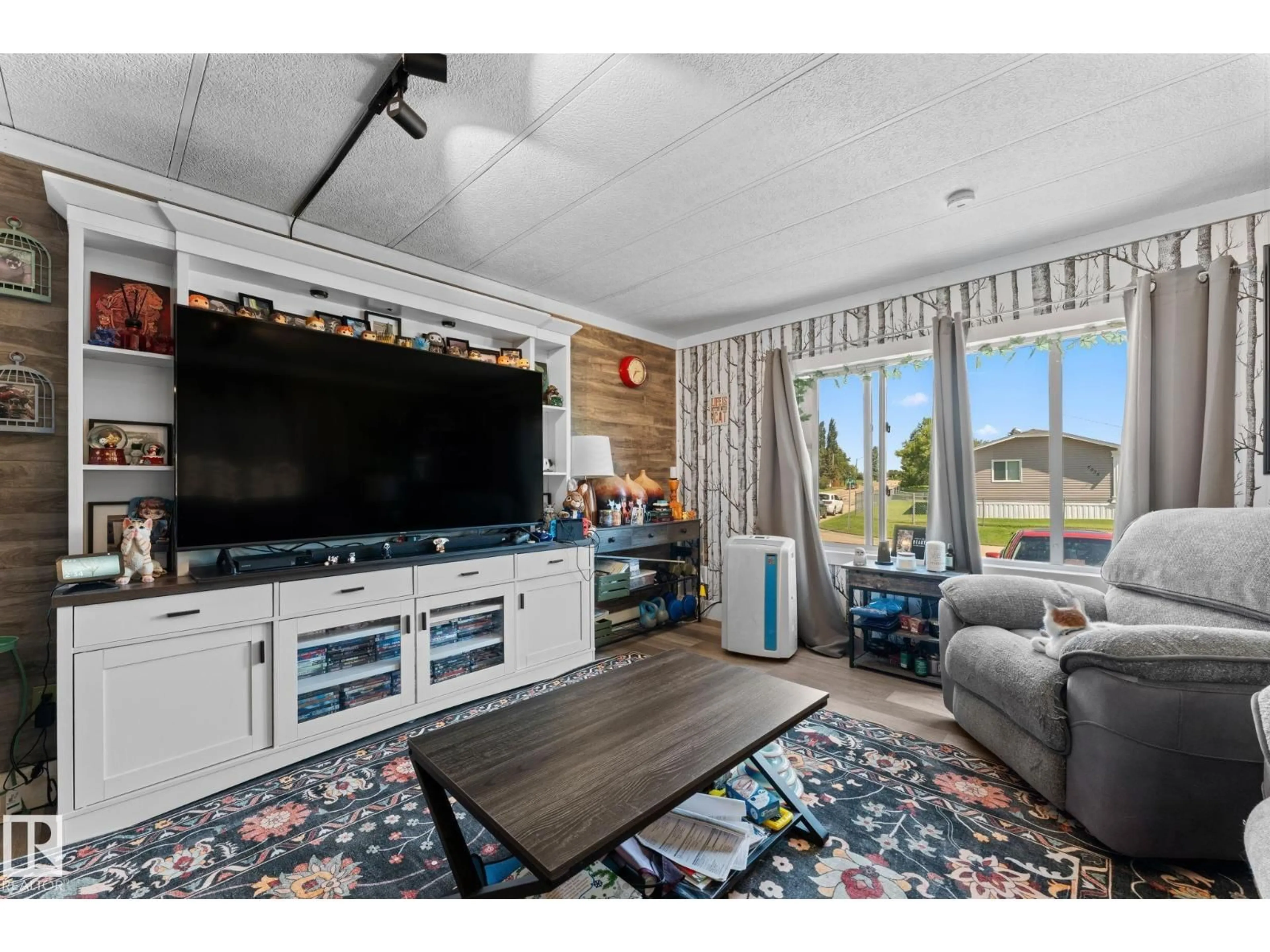 Home theater for 5024 45A ST, Barrhead Alberta T7N1J3