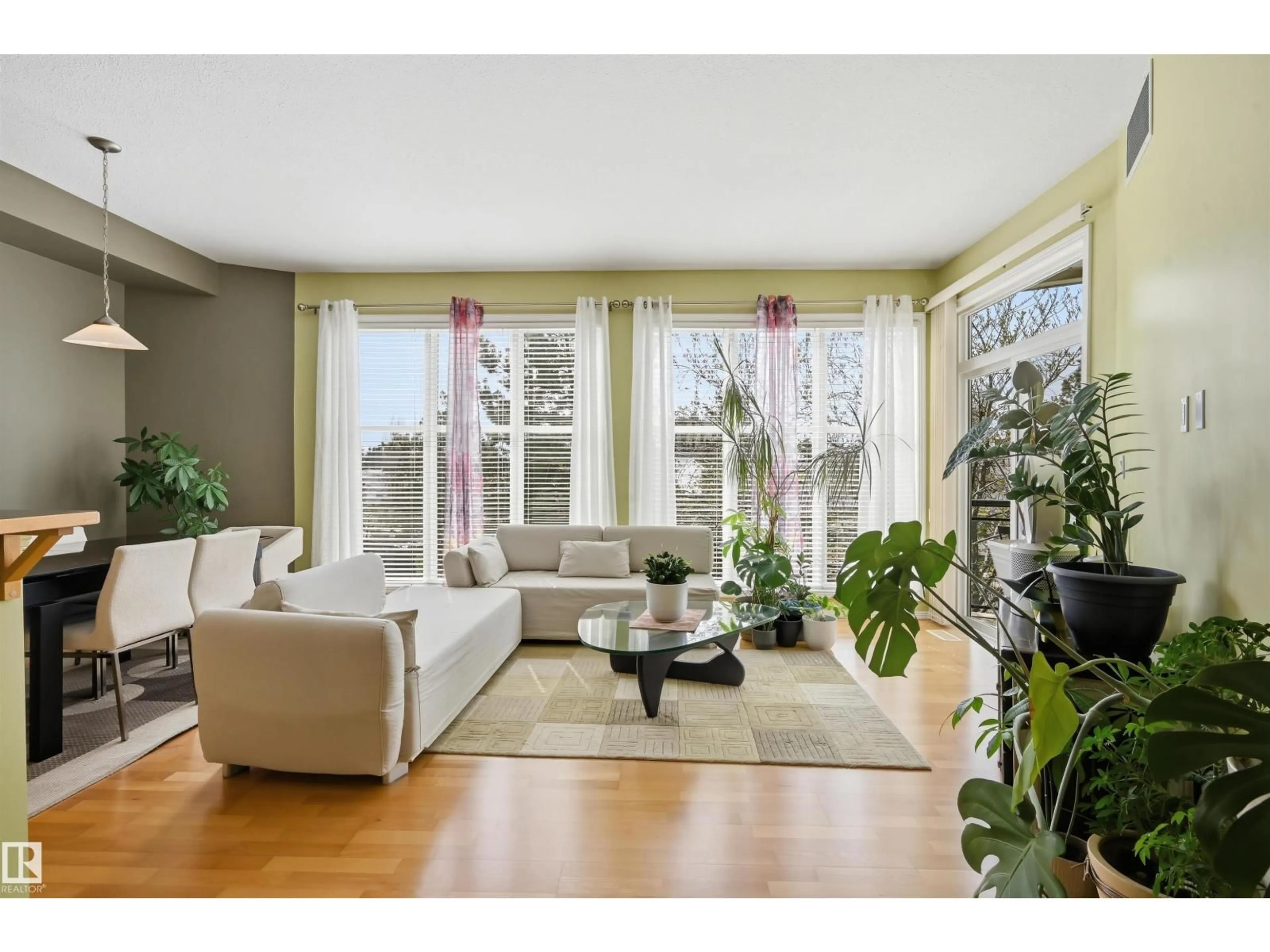 Living room with furniture, wood/laminate floor for 248 - 4827 104A ST NW, Edmonton Alberta T6H0R5