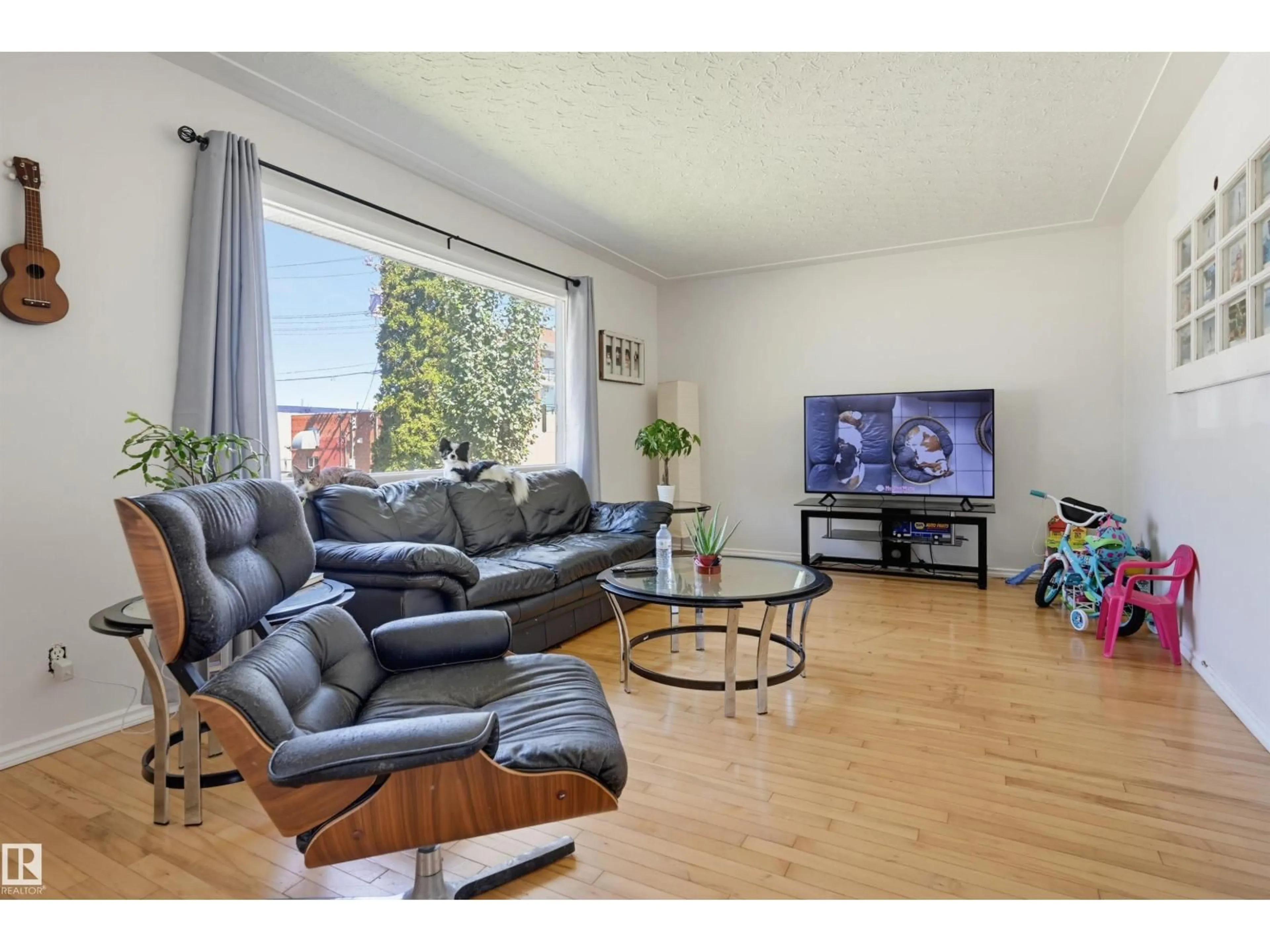 Living room with furniture, wood/laminate floor for 10423 64 AV, Edmonton Alberta T6H1S8