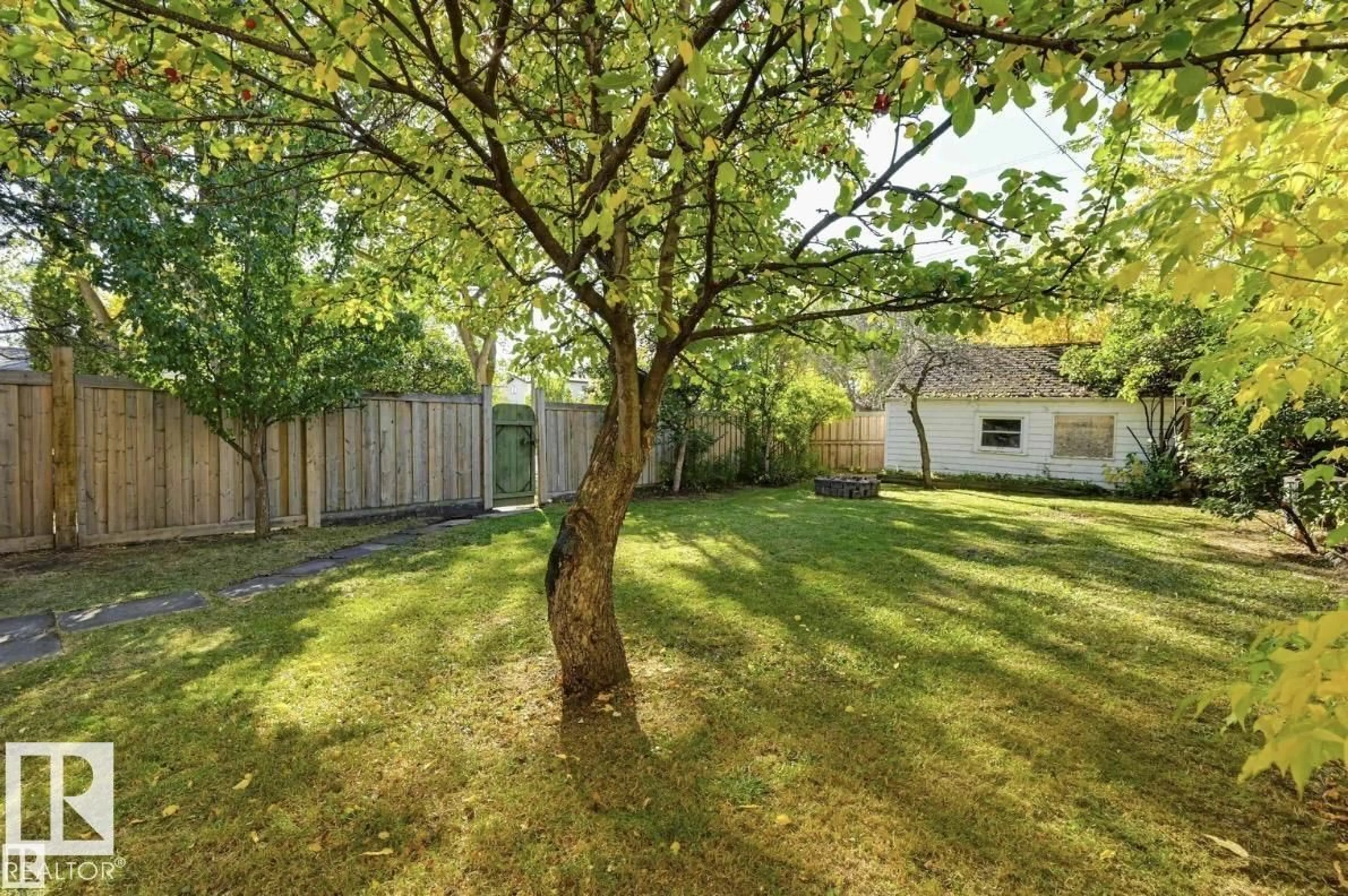 A pic from outside/outdoor area/front of a property/back of a property/a pic from drone, forest/trees view for NW - 11502 122 ST, Edmonton Alberta T5M0C1