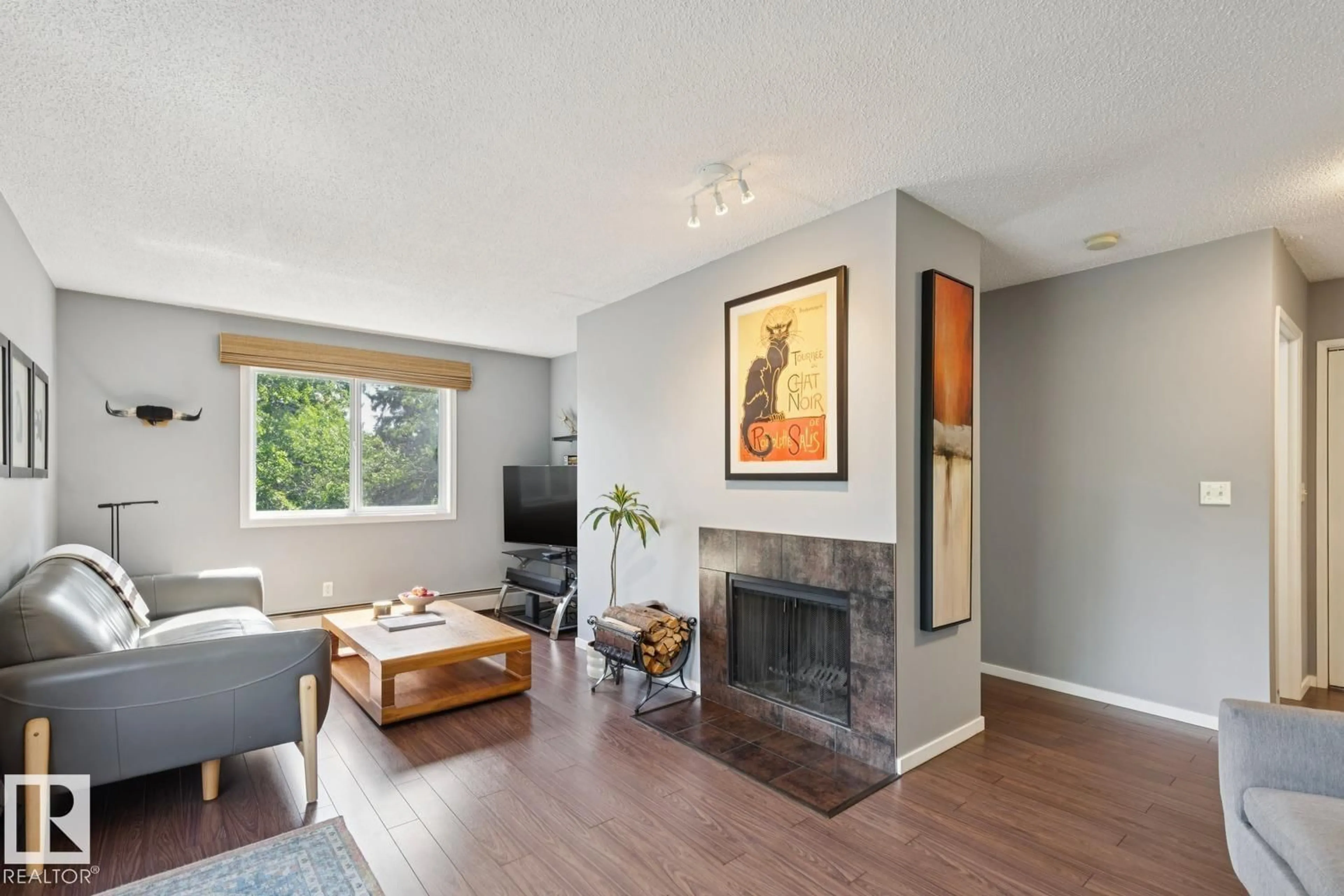 Living room with furniture, wood/laminate floor for #303 - 10838 108 ST NW, Edmonton Alberta T5H3A6