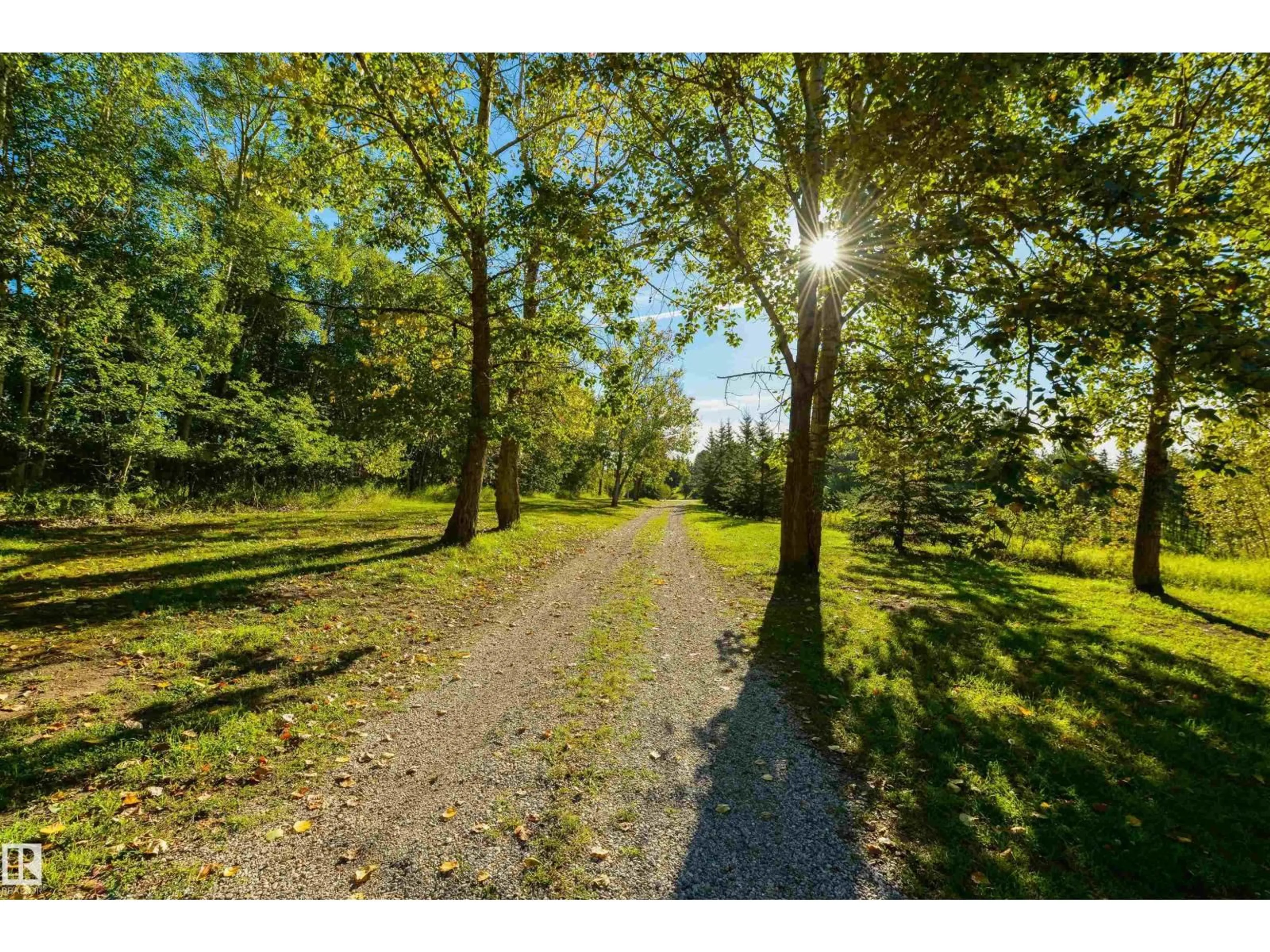 A pic from outside/outdoor area/front of a property/back of a property/a pic from drone, forest/trees view for 4 - 2103 TWP ROAD 525 B, Rural Parkland County Alberta T7Y2L4