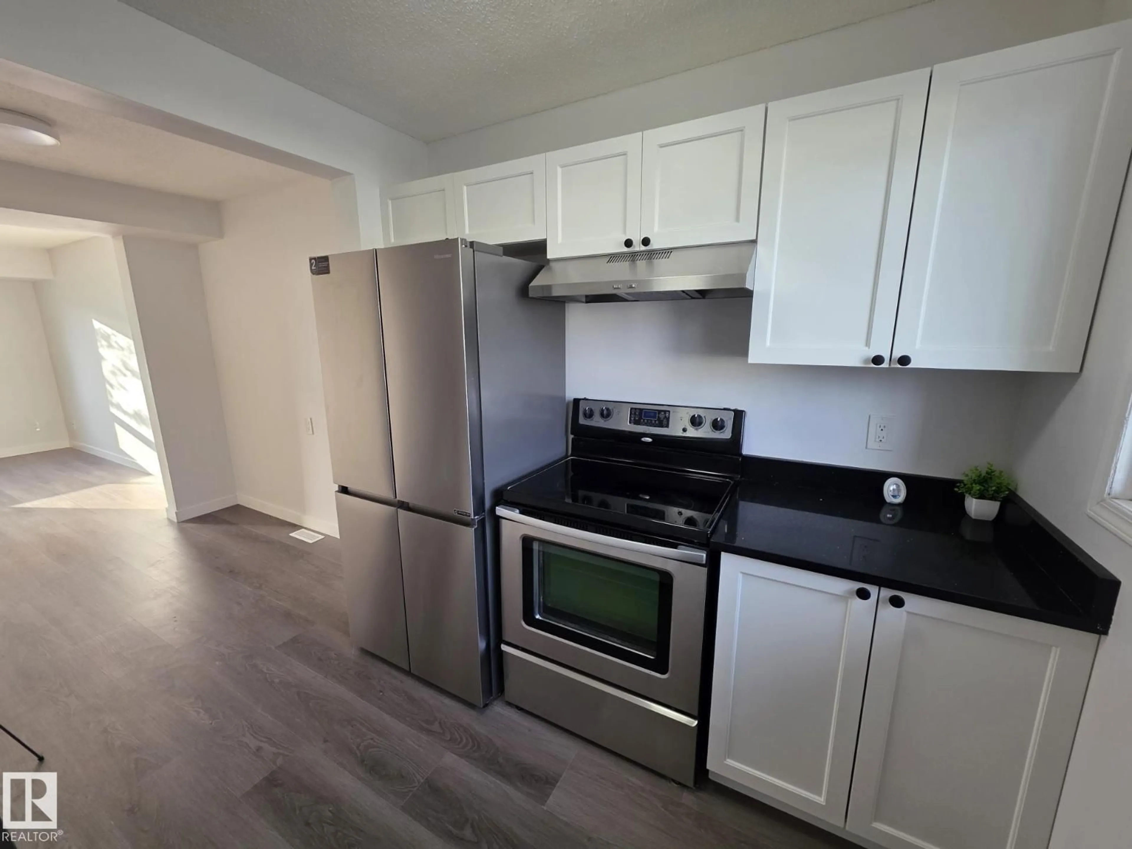 Standard kitchen, unknown for NW - 140 DICKINSFIELD CO, Edmonton Alberta T5E5V8