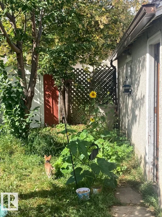 NW - 11438 83 ST, Edmonton 4