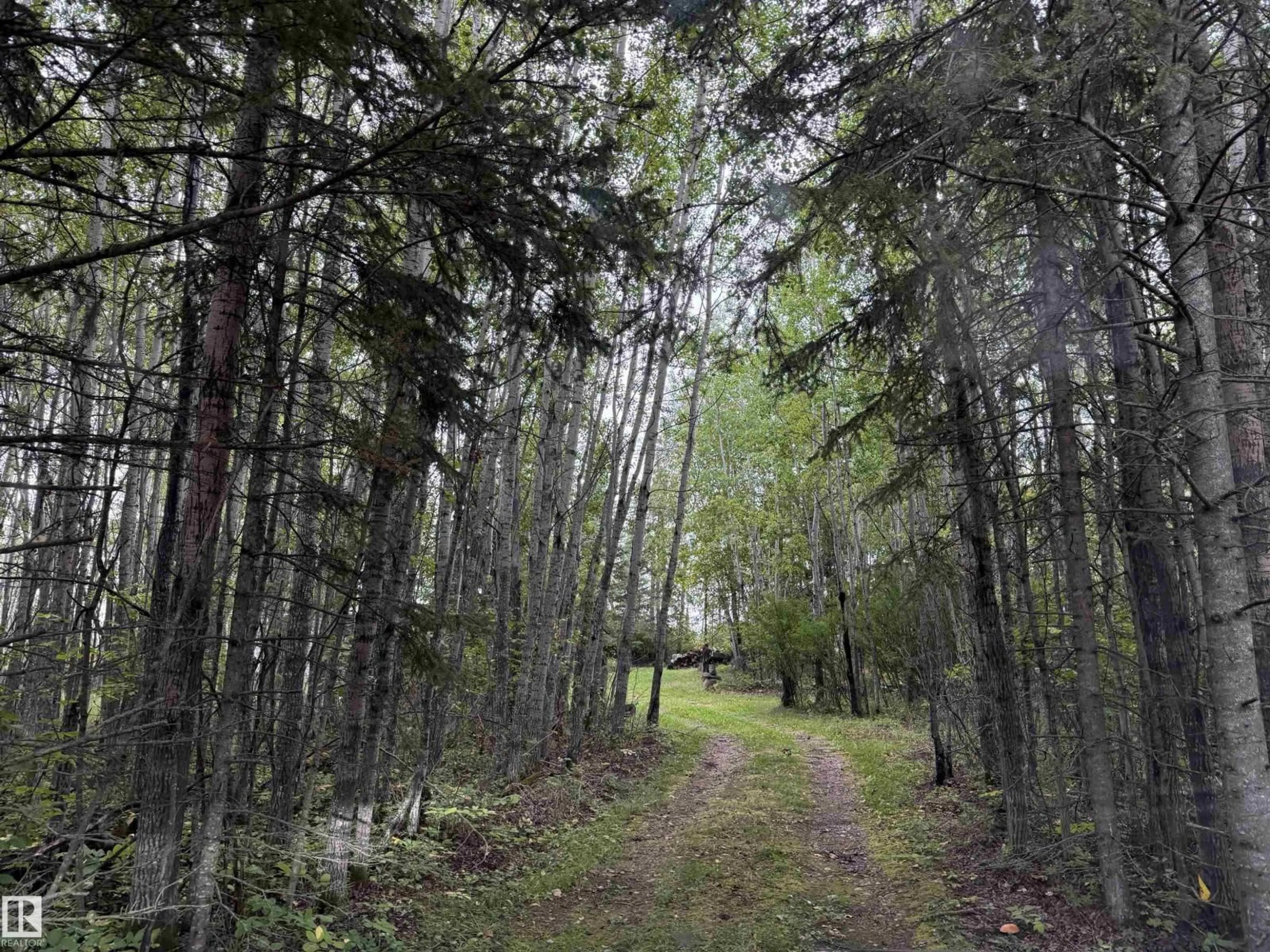 Blurry image for 147 DAVID DR, Rural Athabasca County Alberta T9S1S3