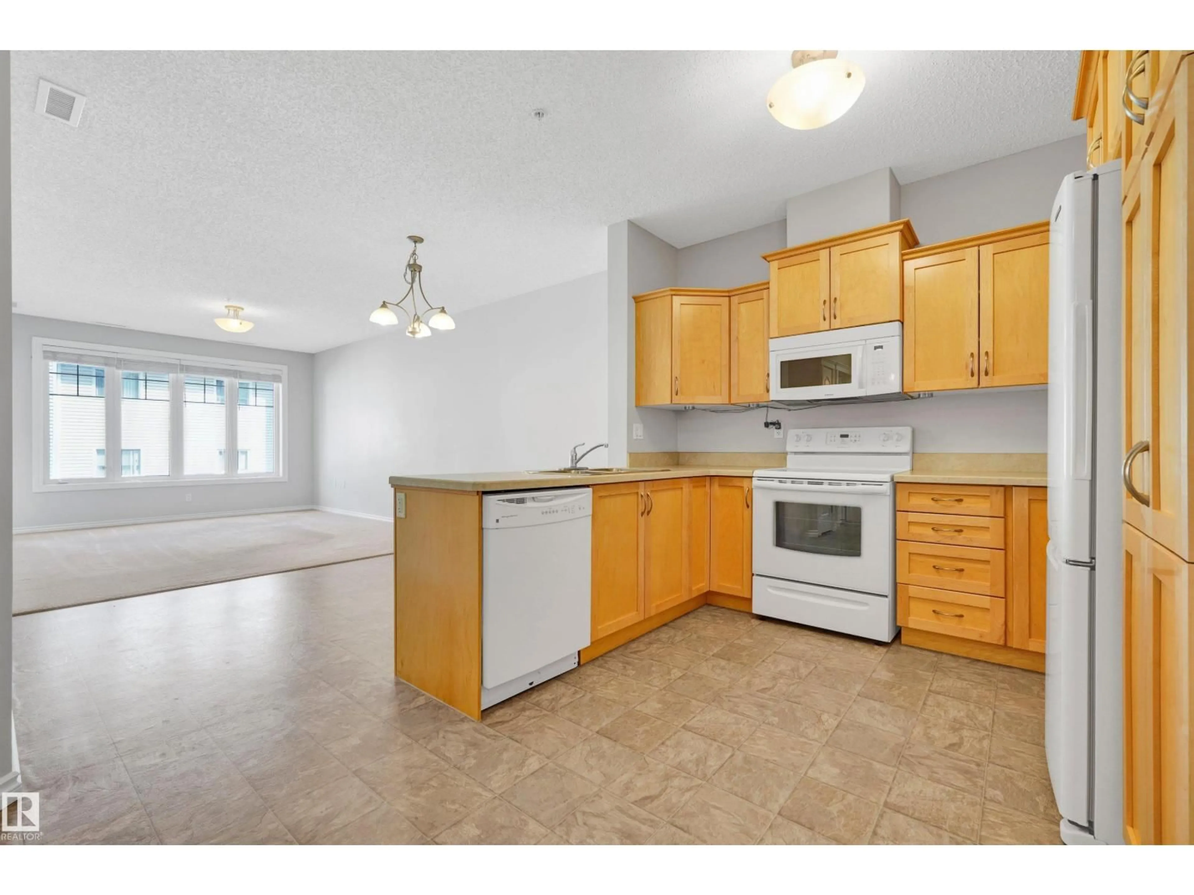 Standard kitchen, unknown for #215 - 9820 165 ST, Edmonton Alberta T5P0N3