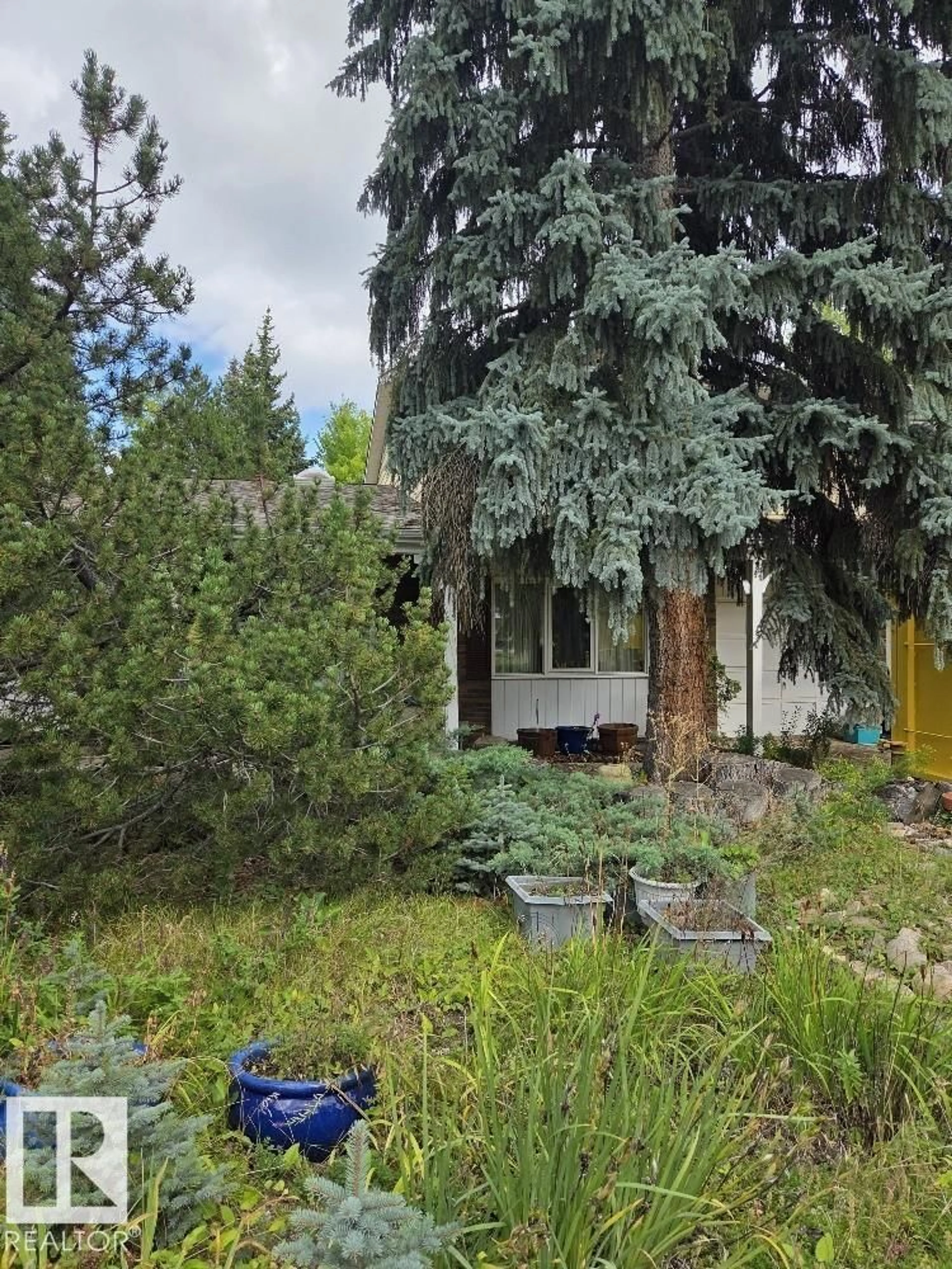 A pic from outside/outdoor area/front of a property/back of a property/a pic from drone, unknown for 29 MARLBORO RD, Edmonton Alberta T6J2C7