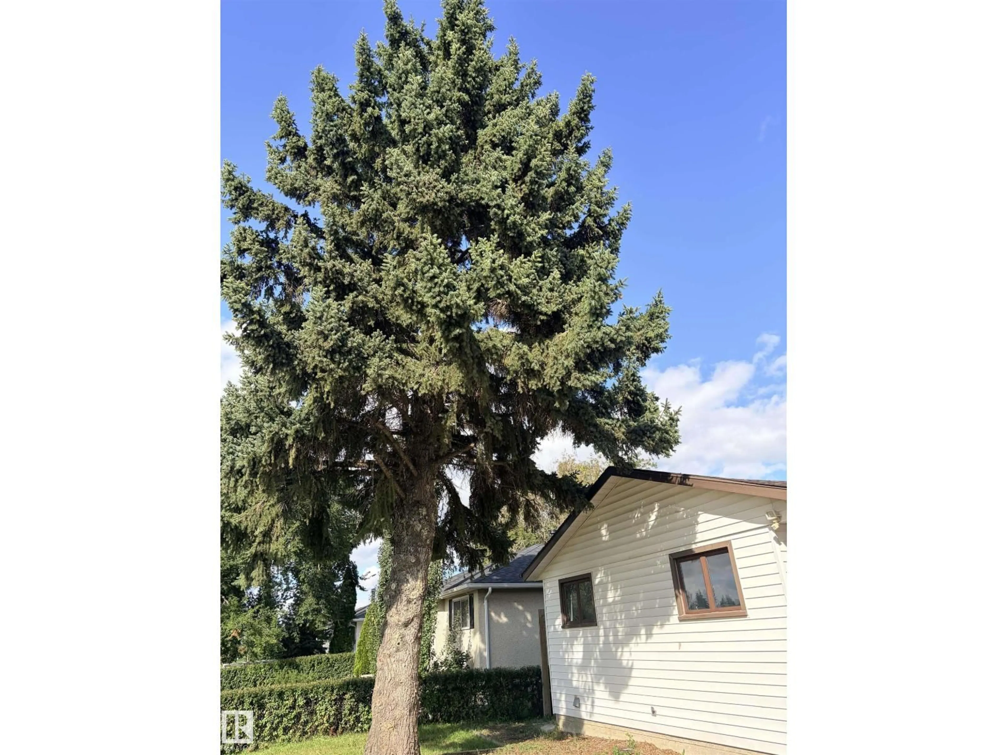 Unknown for 13219 107 ST, Edmonton Alberta T5E4W1