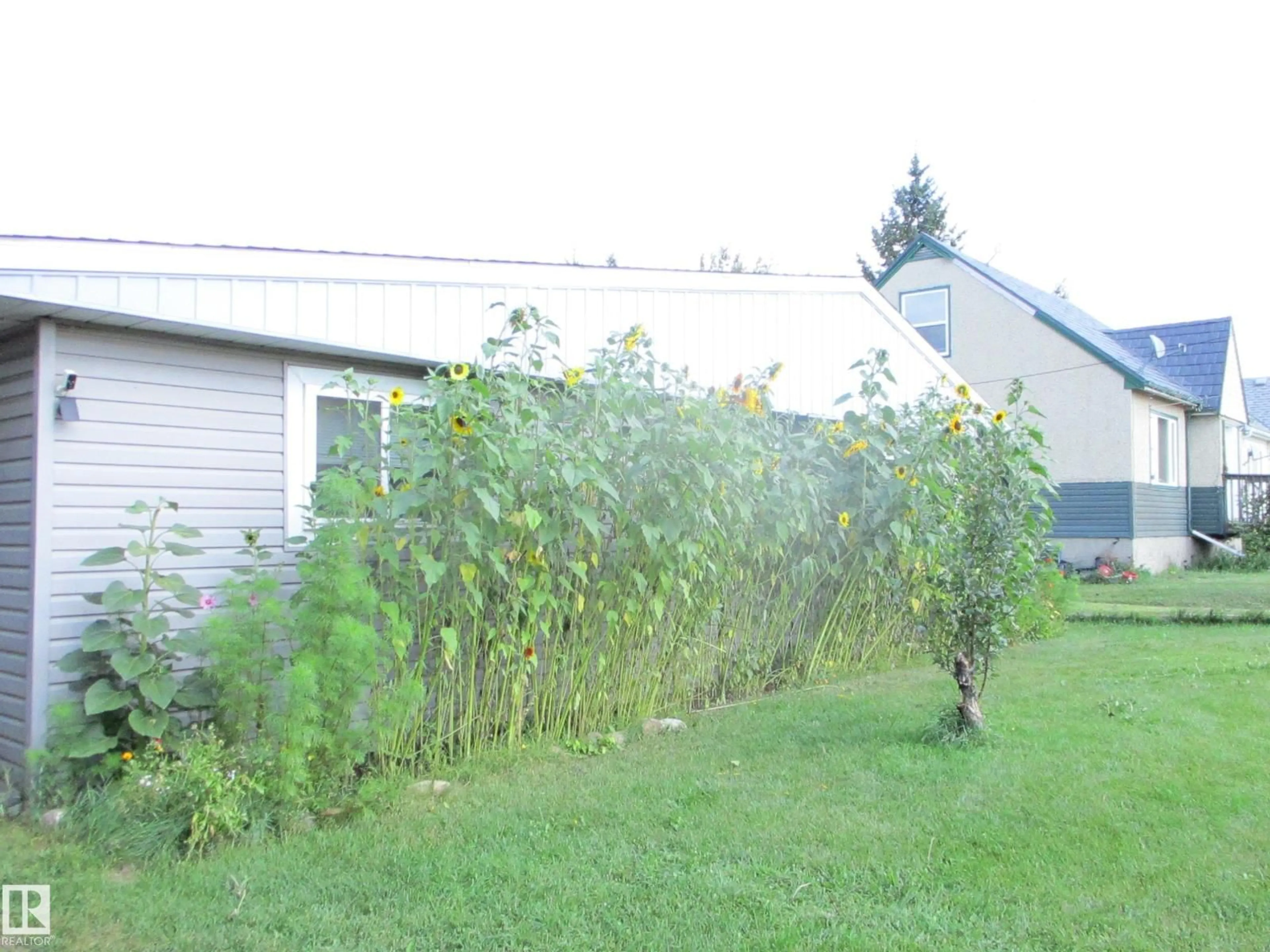 Patio, building for 5022 51 AV, Innisfree Alberta T0B2G0