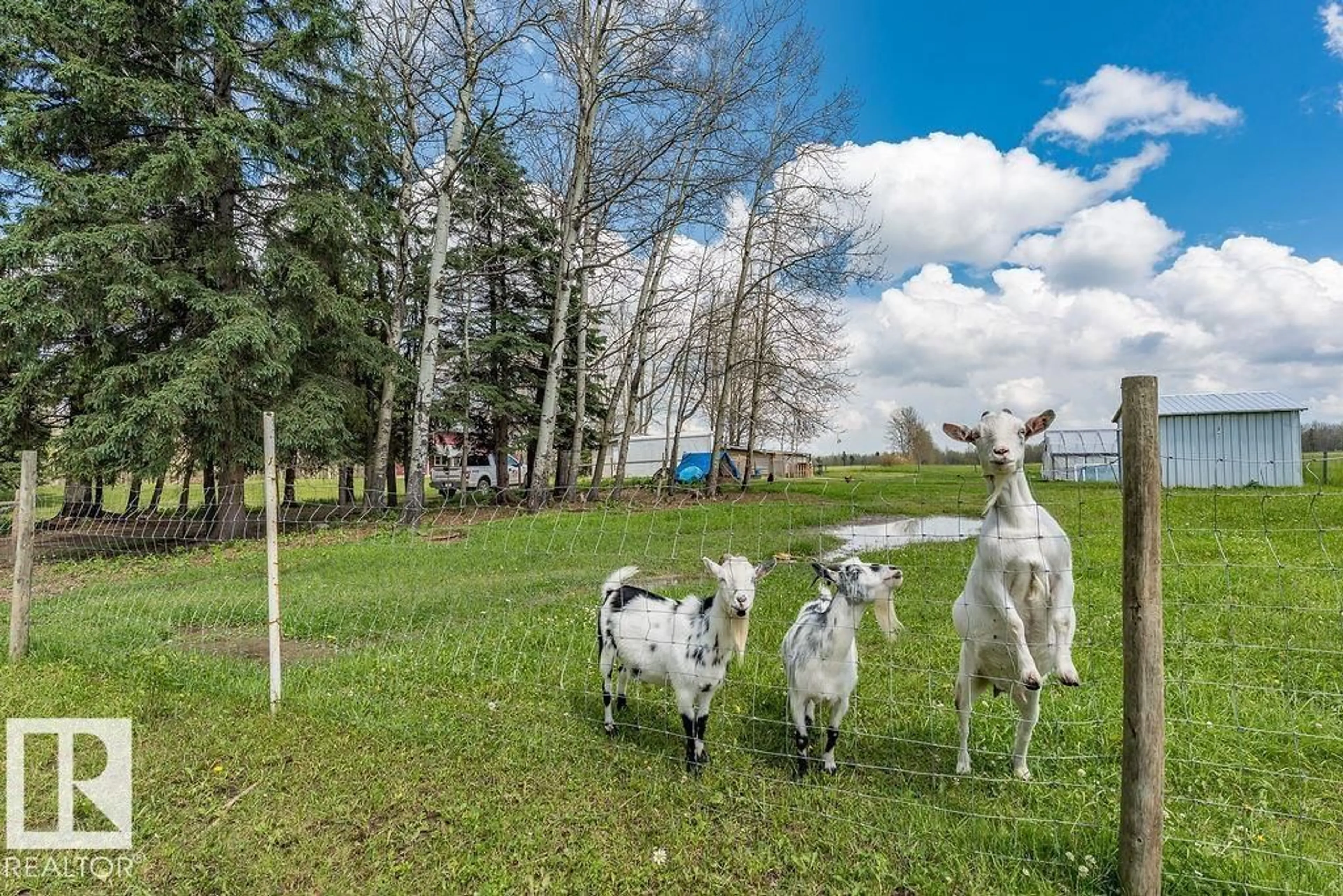 A pic from outside/outdoor area/front of a property/back of a property/a pic from drone, forest/trees view for 470047 RGE ROAD 35, Rural Wetaskiwin County Alberta T0C2X0