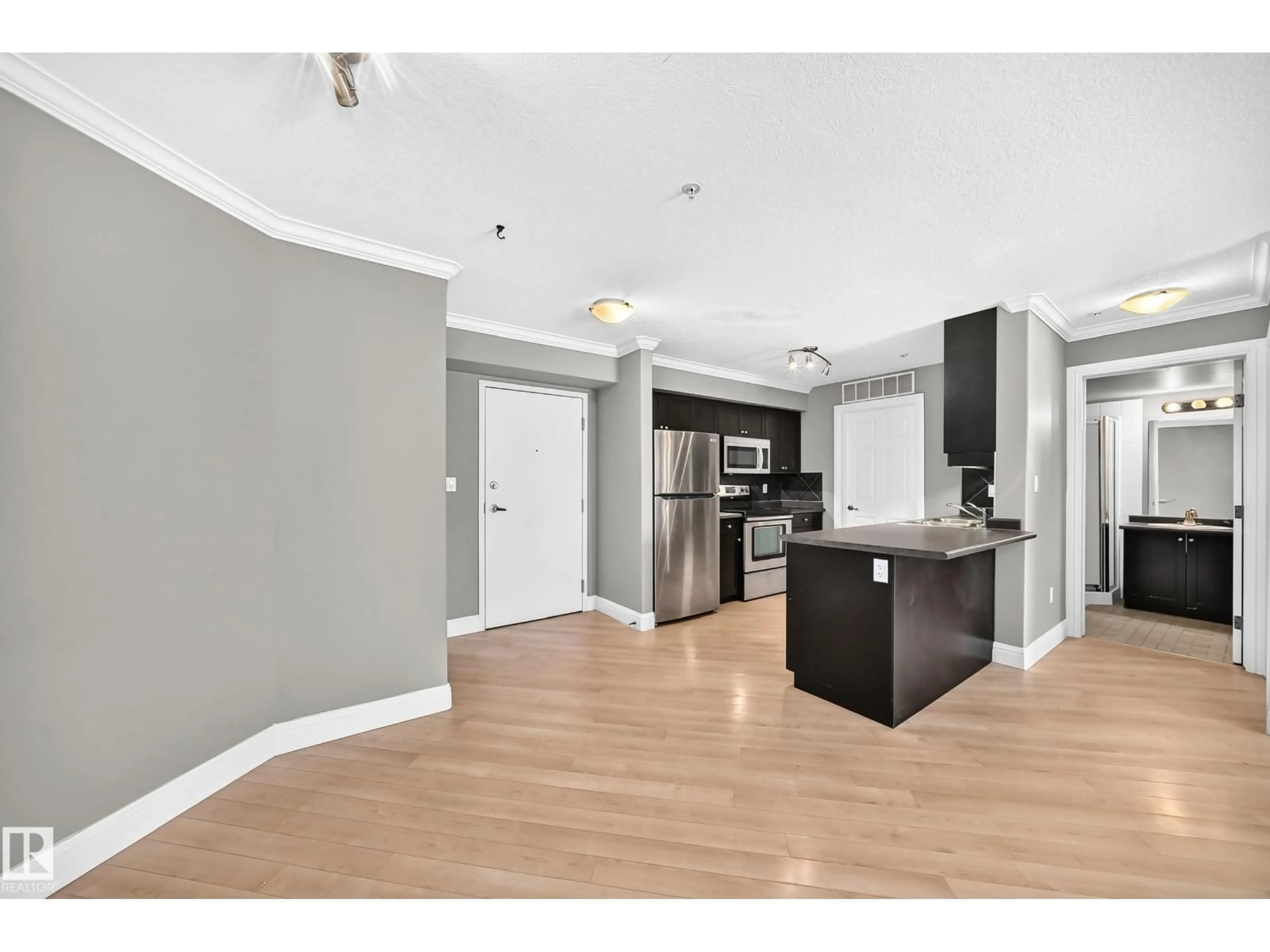 Open concept kitchen, wood/laminate floor for 202 - 14608 125 ST, Edmonton Alberta T5X0B5