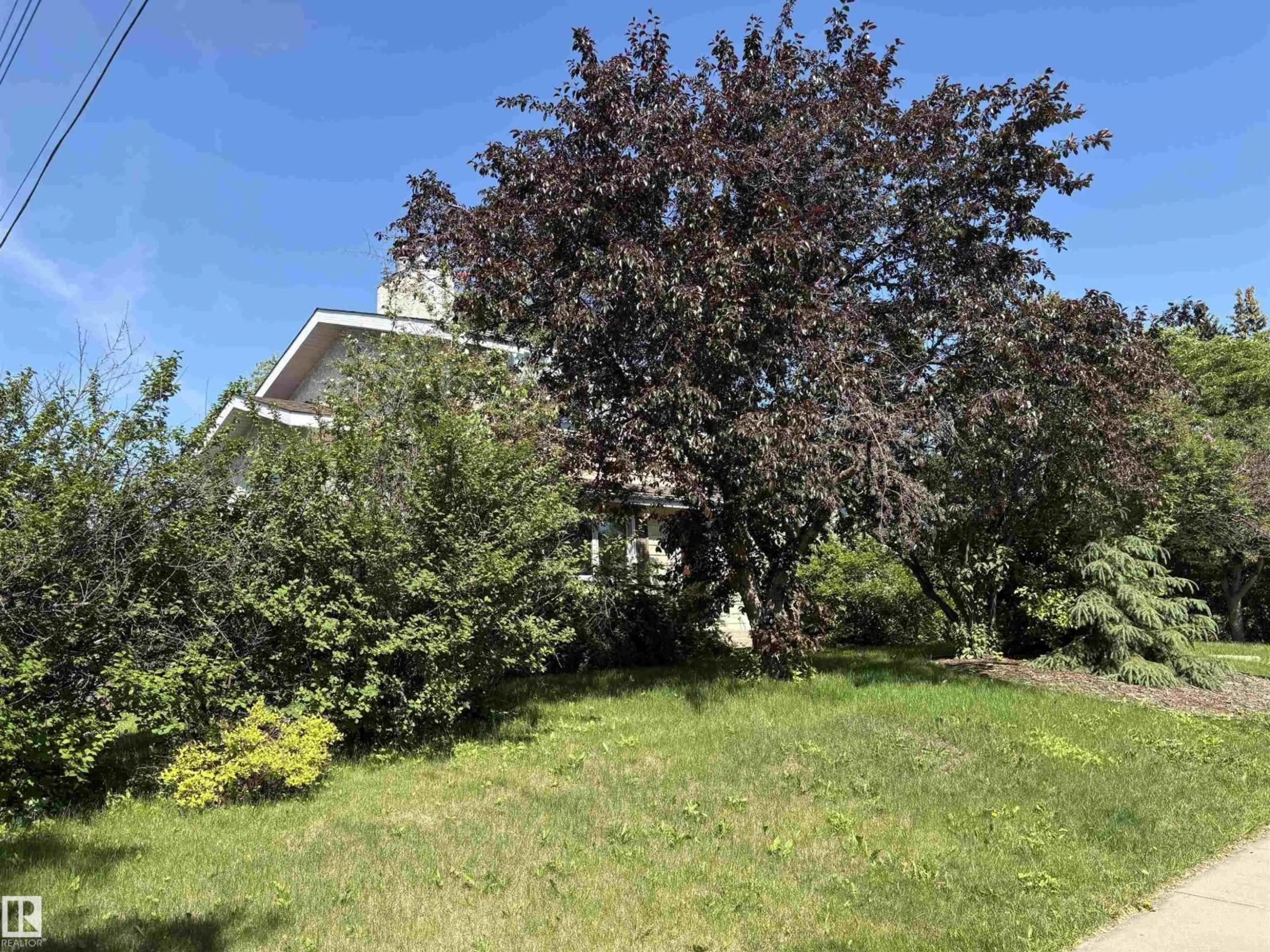 A pic from outside/outdoor area/front of a property/back of a property/a pic from drone, street for NW - 8812 146 ST, Edmonton Alberta T5R0V6