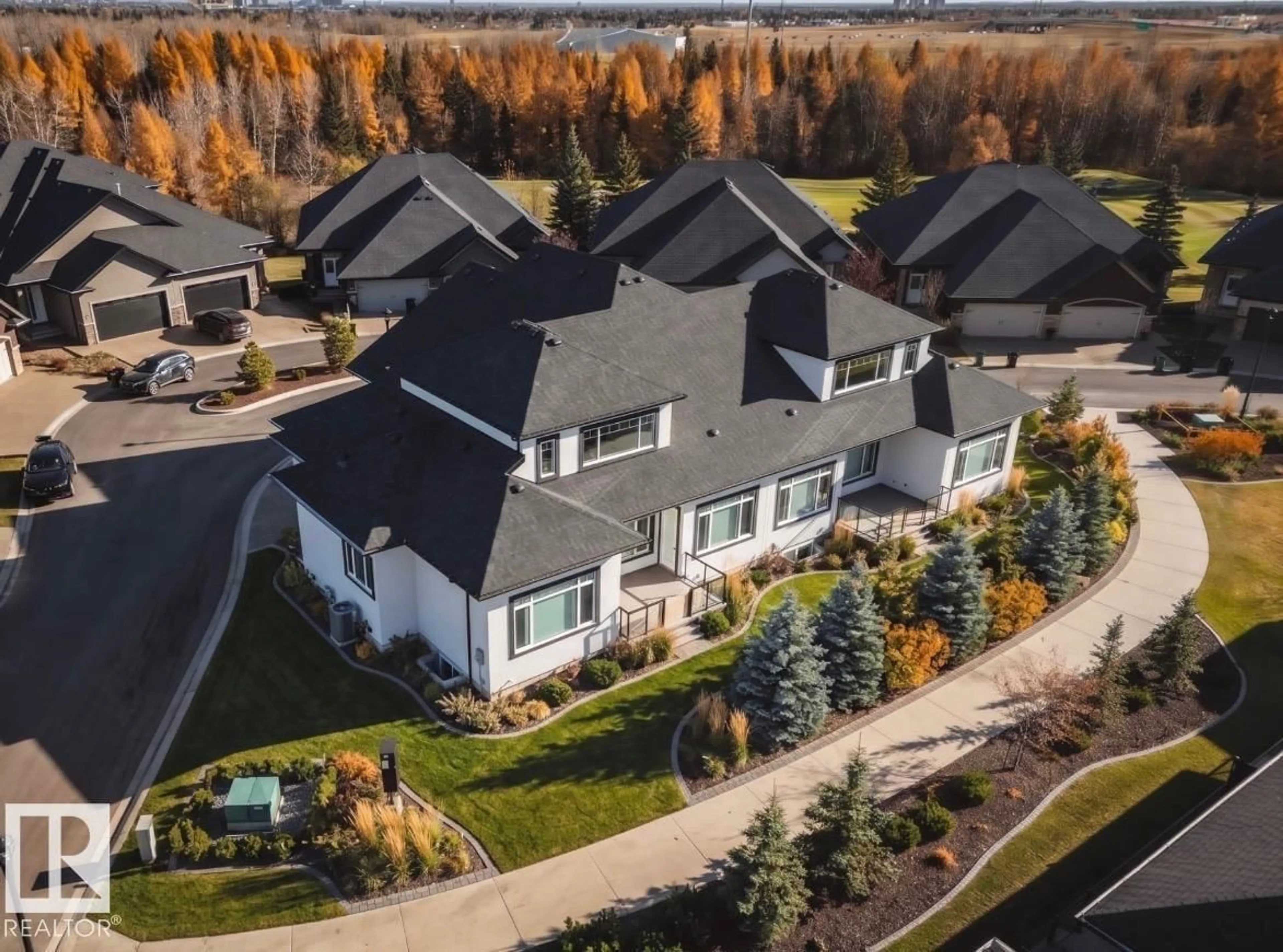 A pic from outside/outdoor area/front of a property/back of a property/a pic from drone, mountain view for #42 - 20425 93 AV, Edmonton Alberta T5T7C7
