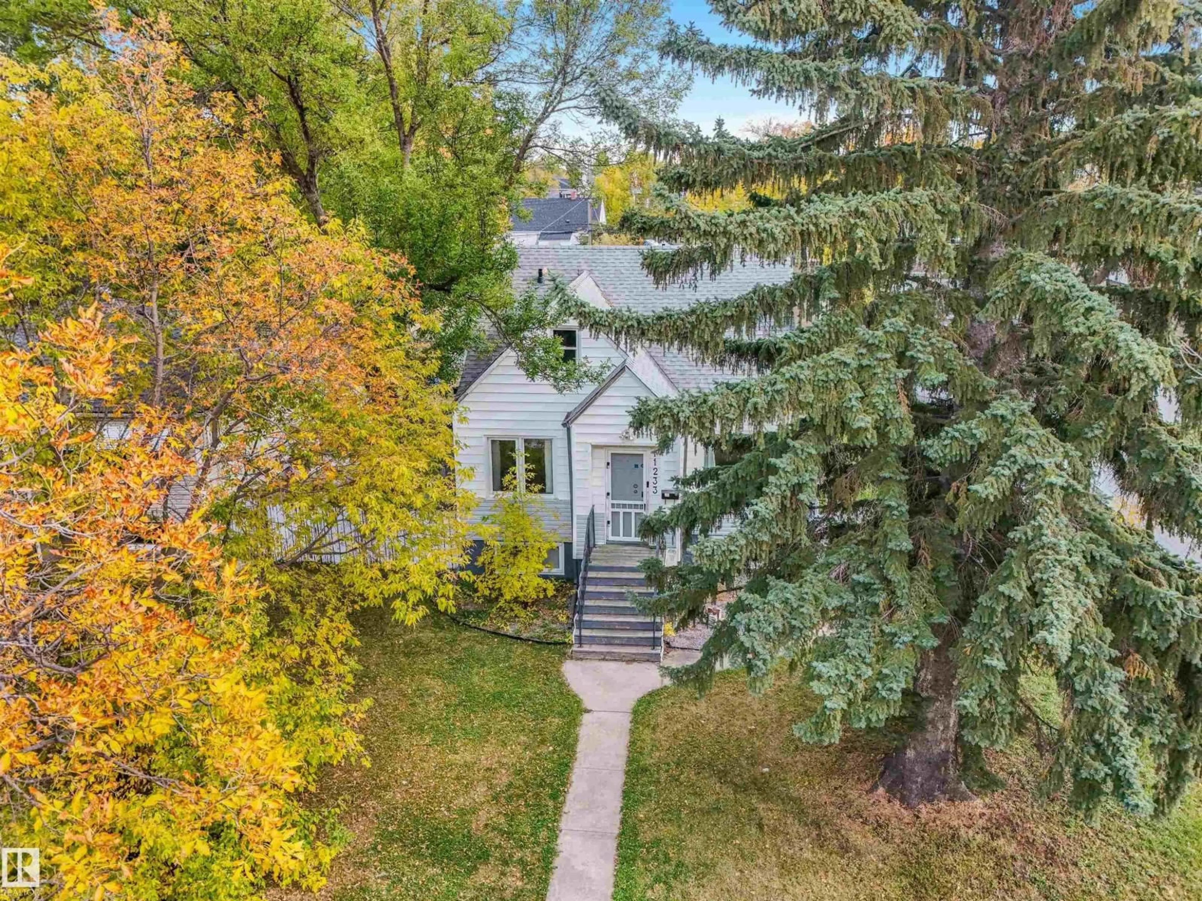 A pic from outside/outdoor area/front of a property/back of a property/a pic from drone, street for NW - 11233 103 ST, Edmonton Alberta T5G2H6