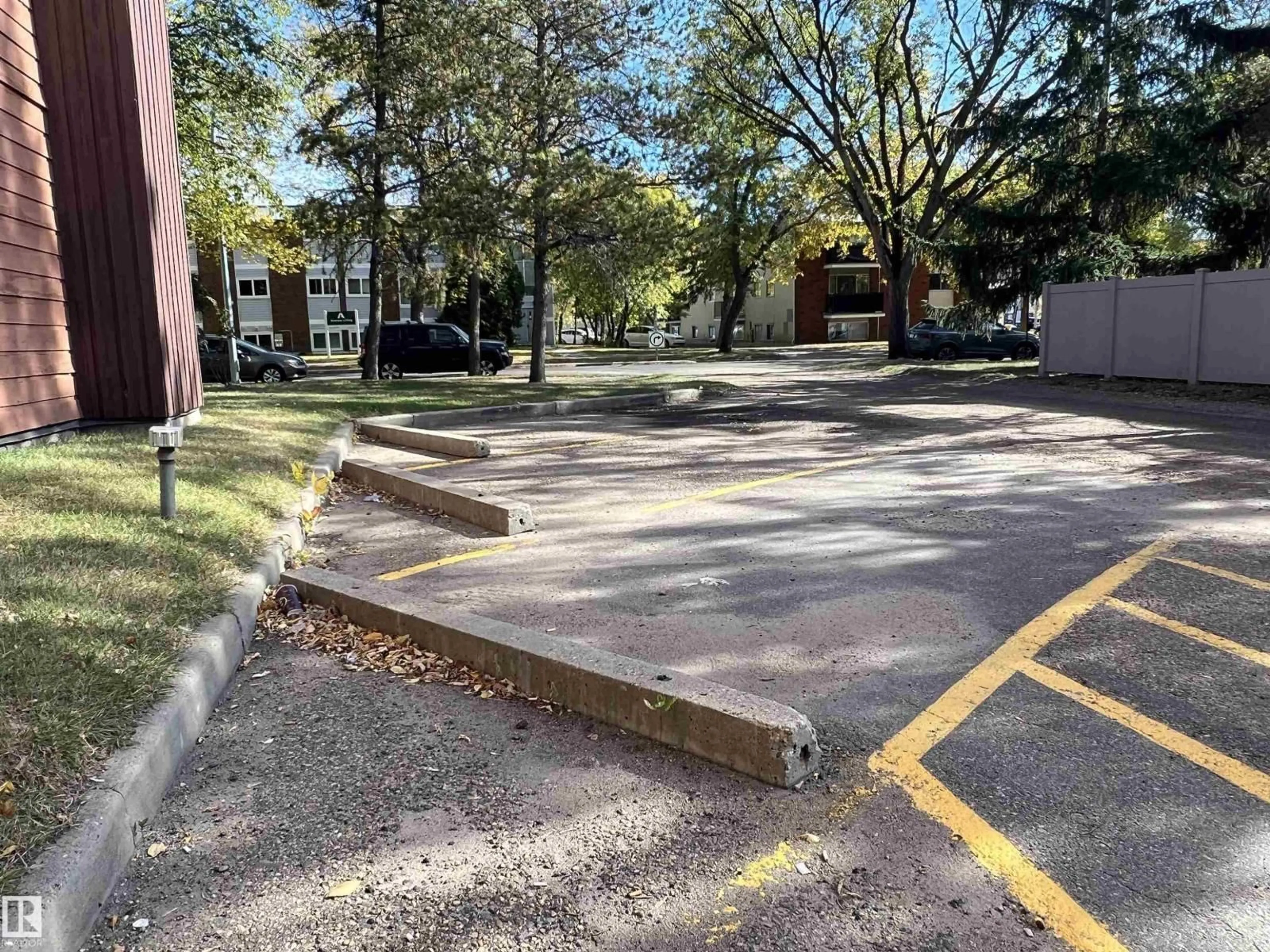 Parking for #305 - 10826 113 ST, Edmonton Alberta T5H3J2