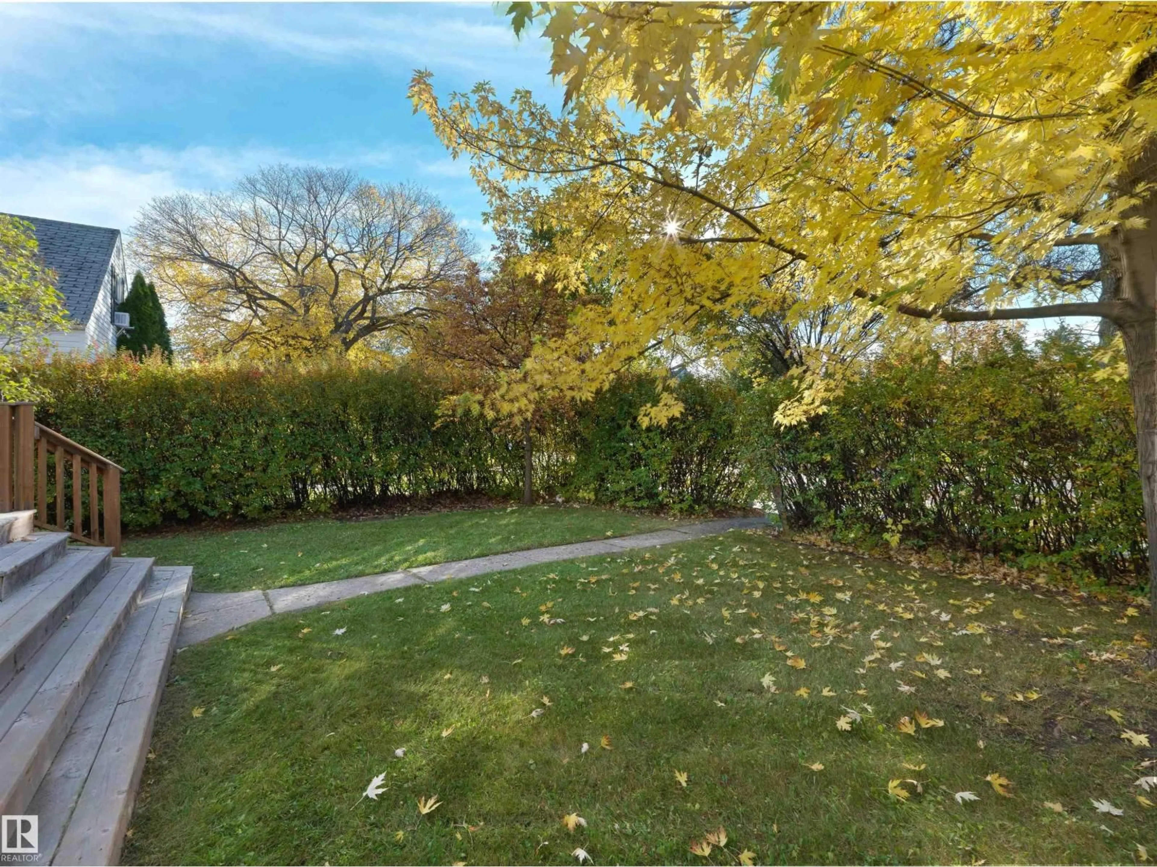 A pic from outside/outdoor area/front of a property/back of a property/a pic from drone, forest/trees view for 11142 71 AV, Edmonton Alberta T6G0A4