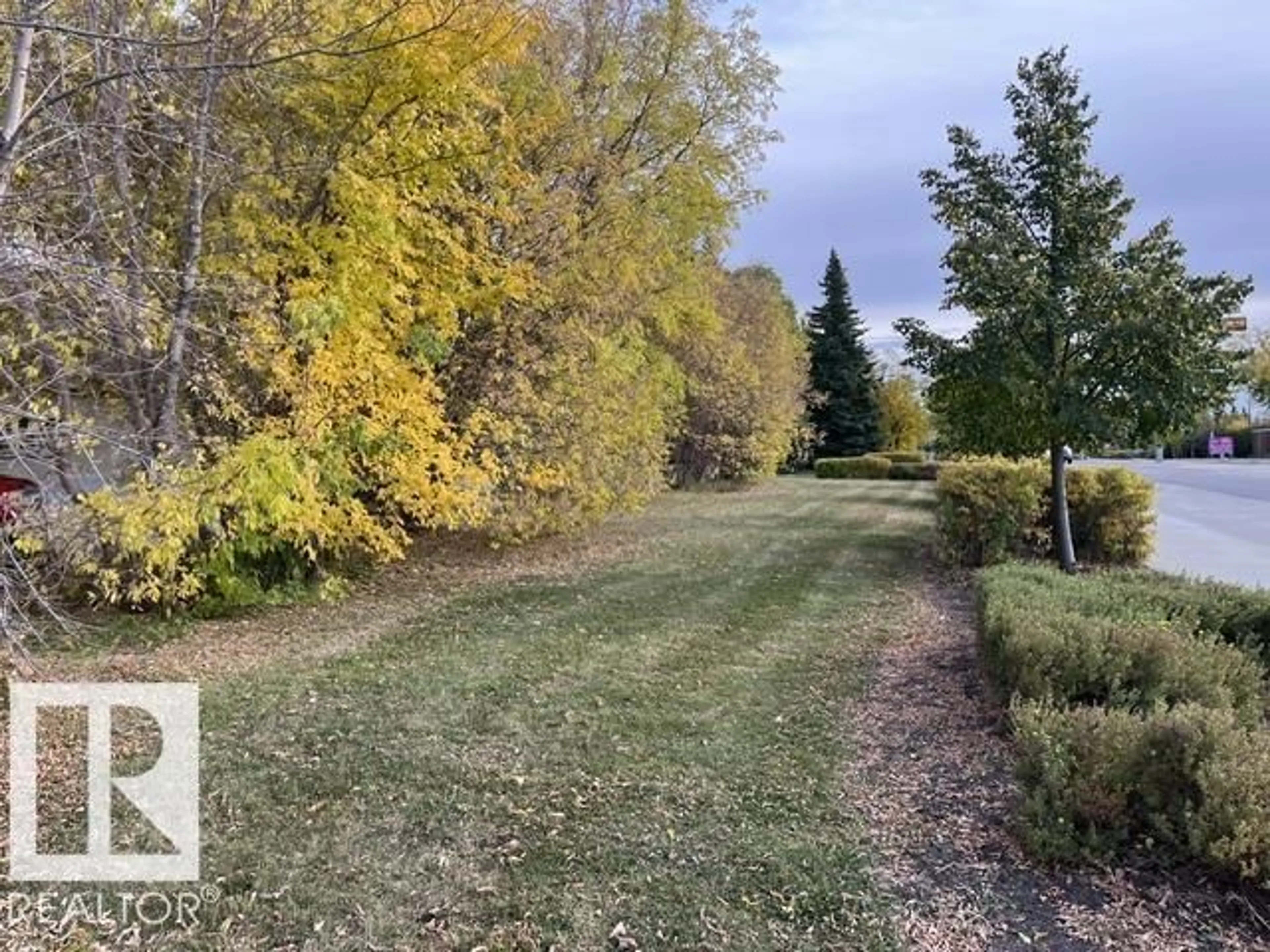 A pic from outside/outdoor area/front of a property/back of a property/a pic from drone, forest/trees view for 8150 78 AV, Edmonton Alberta T6C0N4