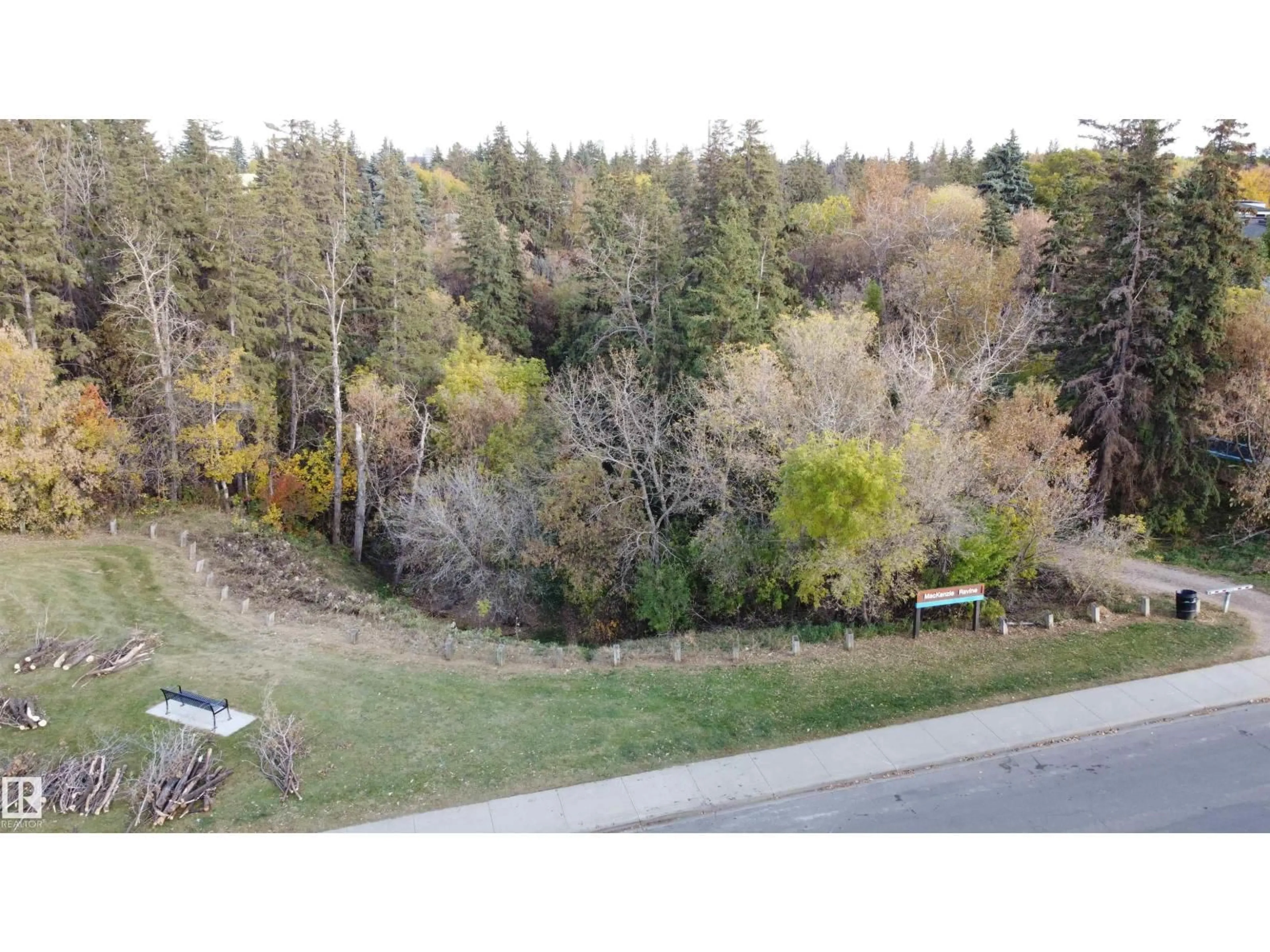 A pic from outside/outdoor area/front of a property/back of a property/a pic from drone, forest/trees view for 9333 146 ST, Edmonton Alberta T5R0W7