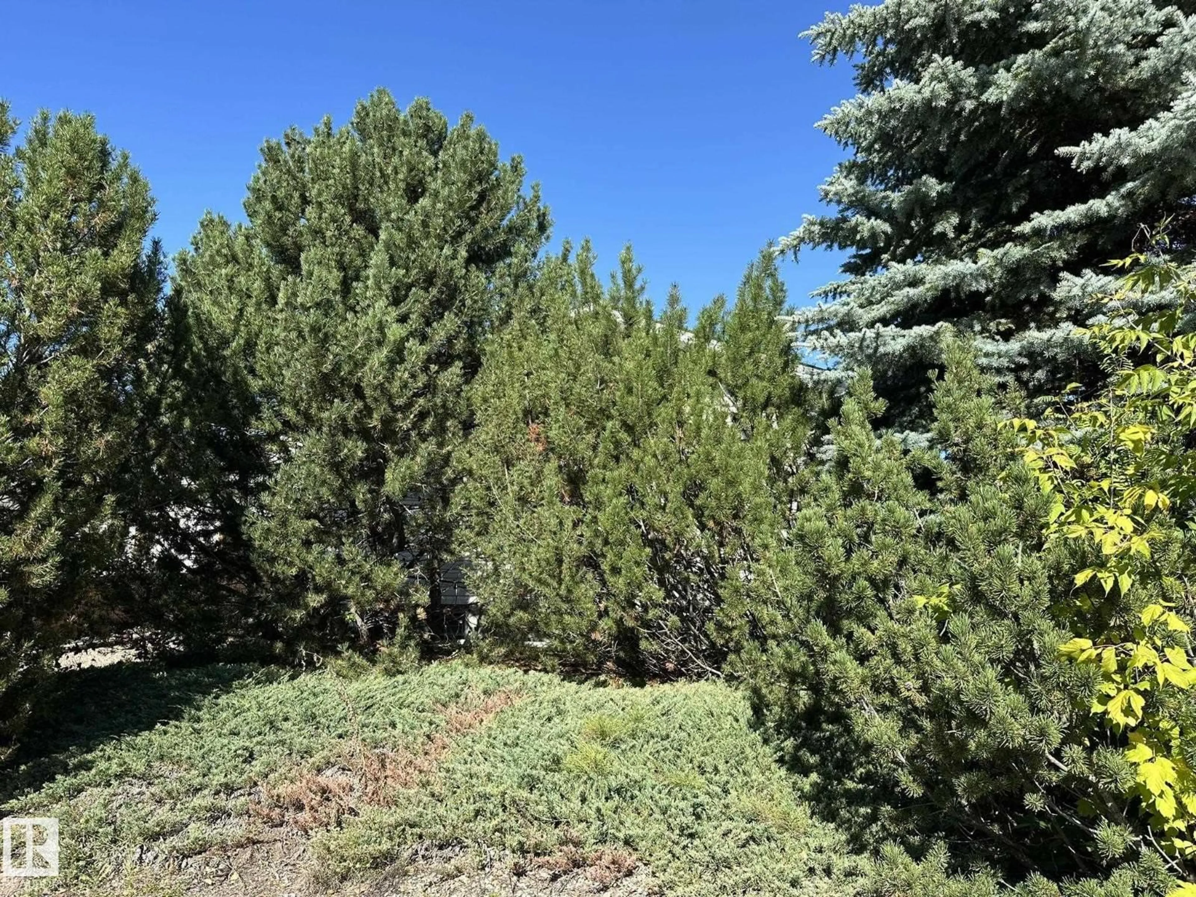 A pic from outside/outdoor area/front of a property/back of a property/a pic from drone, forest/trees view for 5412 43 ST, Smoky Lake Town Alberta T0A3C0
