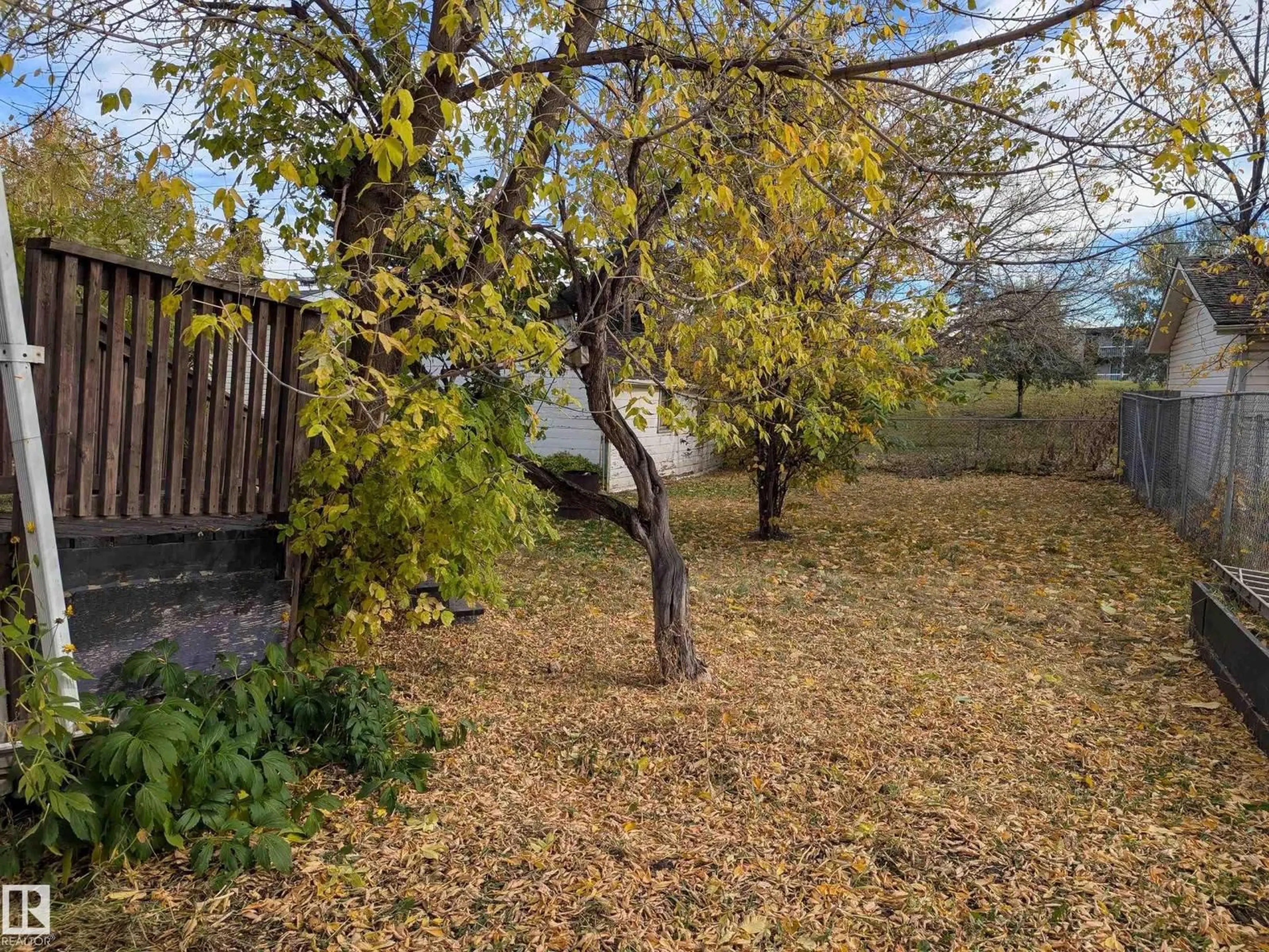 A pic from outside/outdoor area/front of a property/back of a property/a pic from drone, forest/trees view for NW - 12215 101 ST, Edmonton Alberta T5G2C5