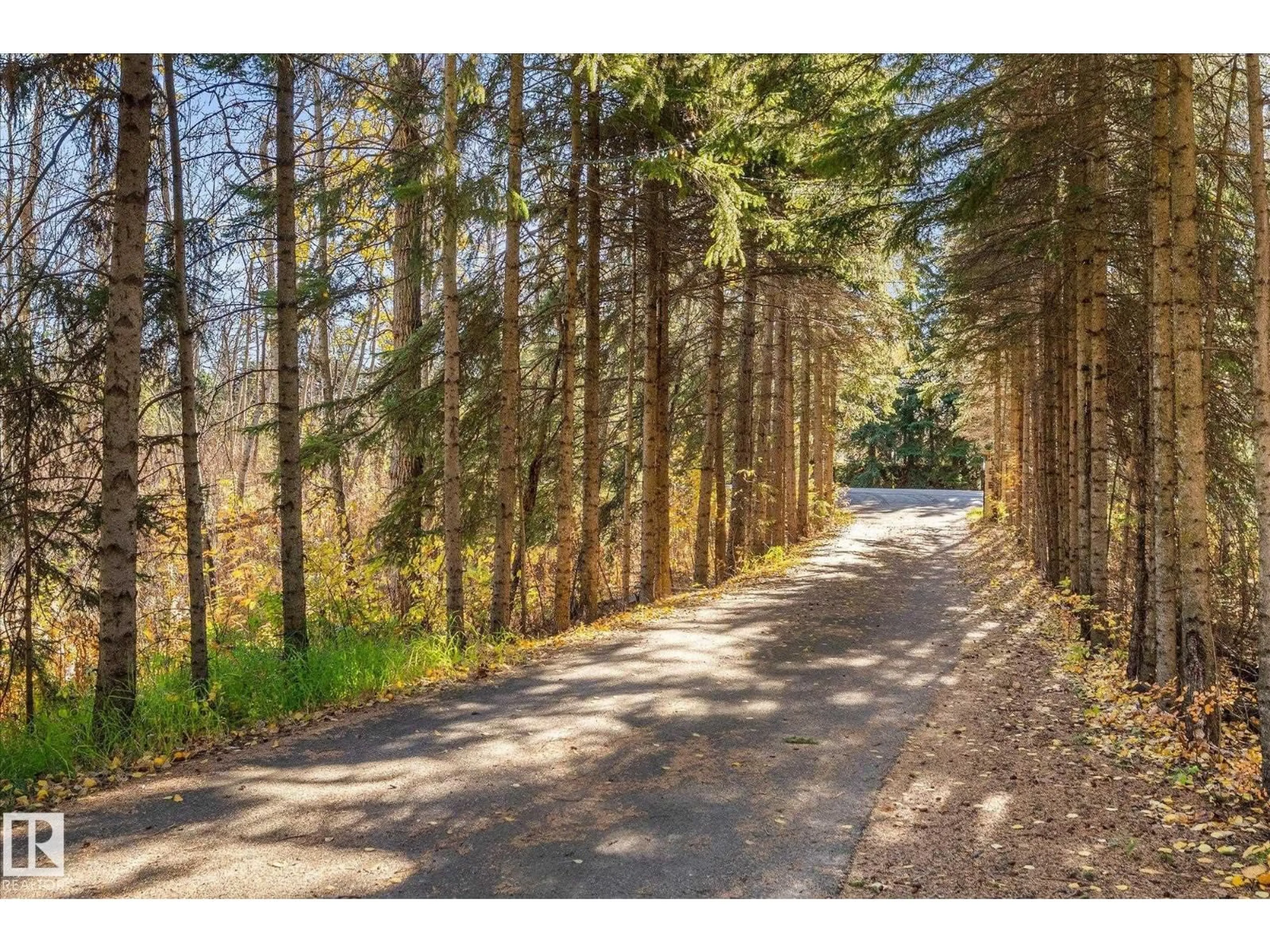 A pic from outside/outdoor area/front of a property/back of a property/a pic from drone, forest/trees view for 14 - 52246 RGE ROAD 232, Rural Strathcona County Alberta T8B1C1