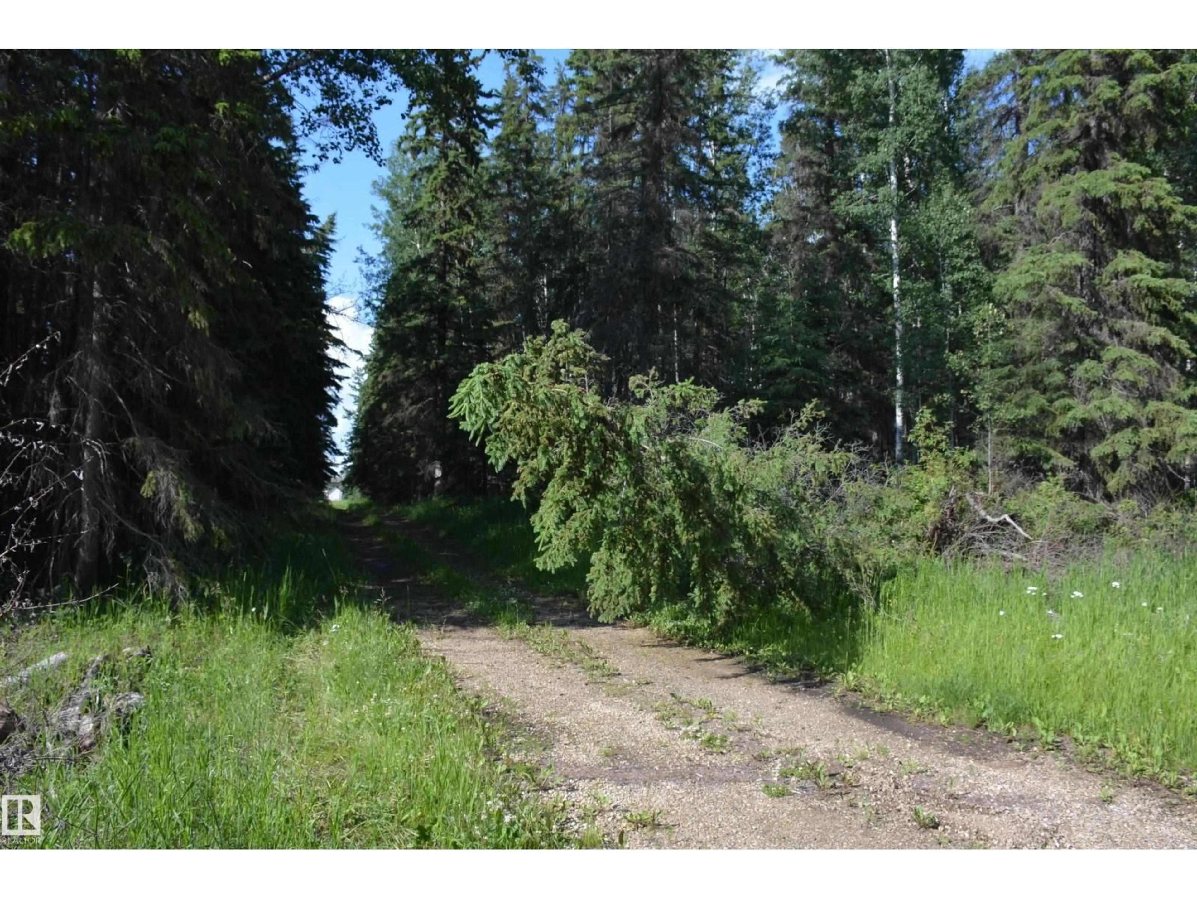 Blurry image for 62016 TWP ROAD 625, Rural Woodlands County Alberta T0G1A0