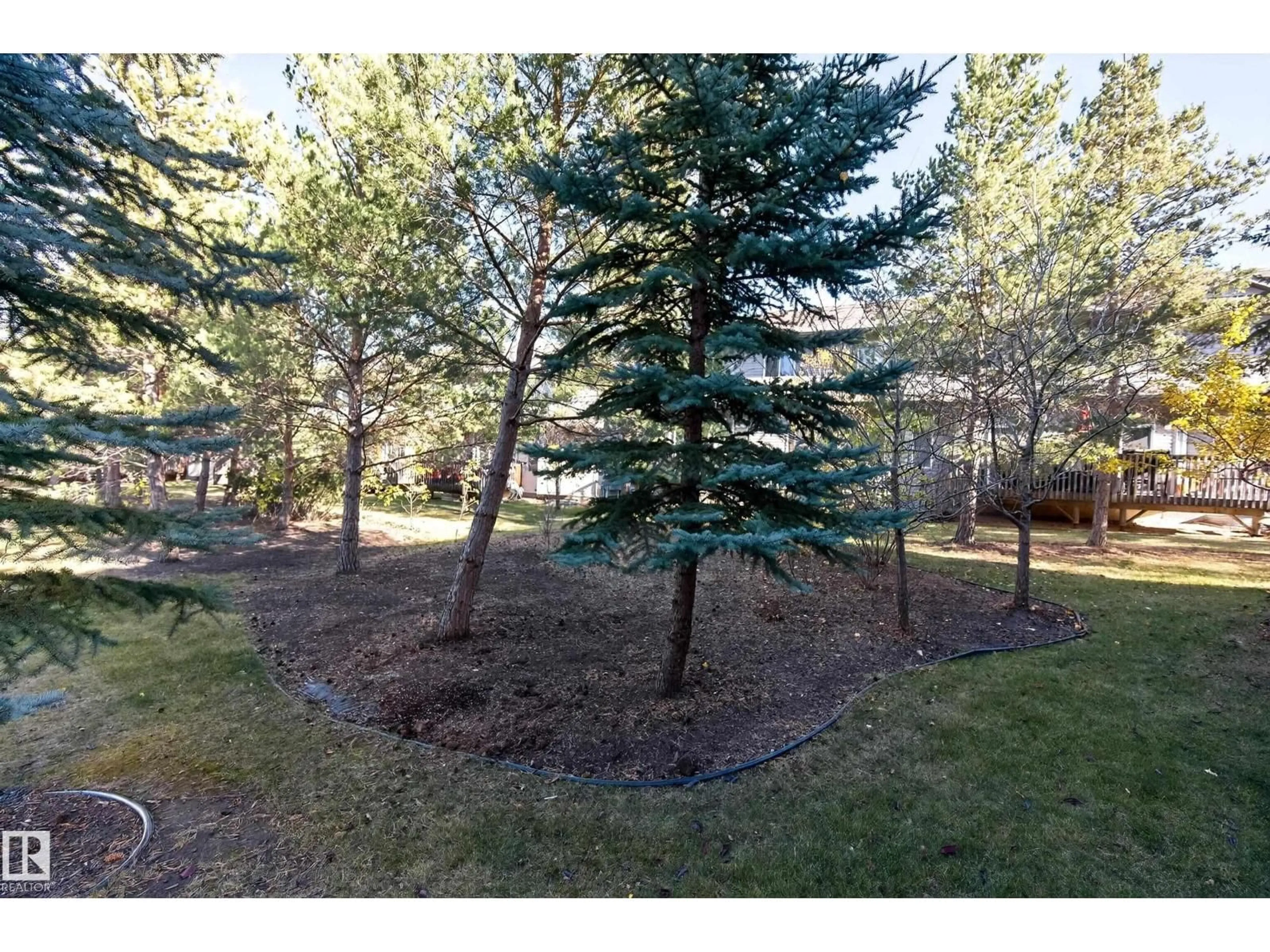 A pic from outside/outdoor area/front of a property/back of a property/a pic from drone, forest/trees view for 404 41 SUMMERWOOD BV, Sherwood Park Alberta T8H0C8
