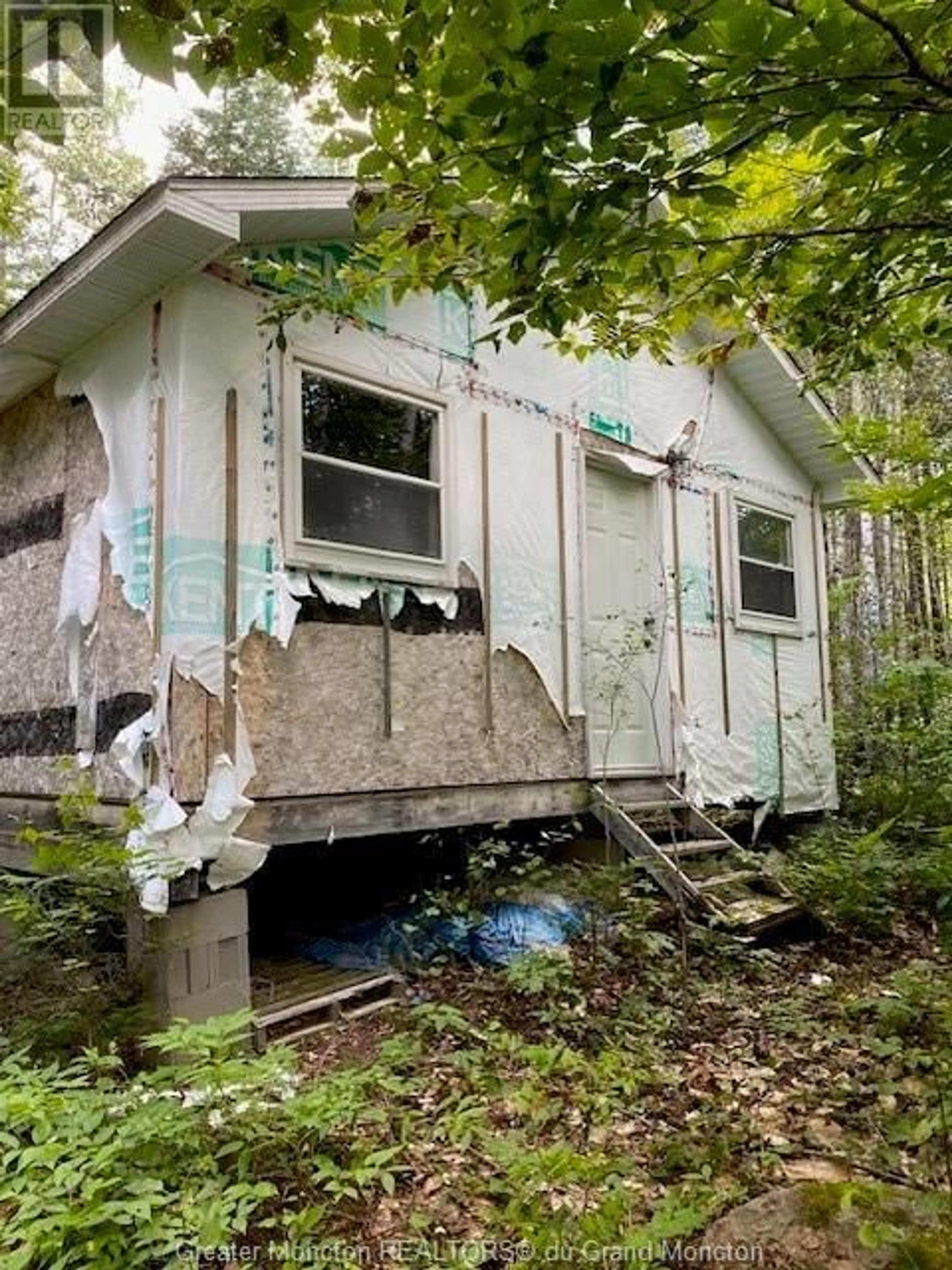 Frontside or backside of a home for Camp Berry RD, Elgin New Brunswick E4Z2R9