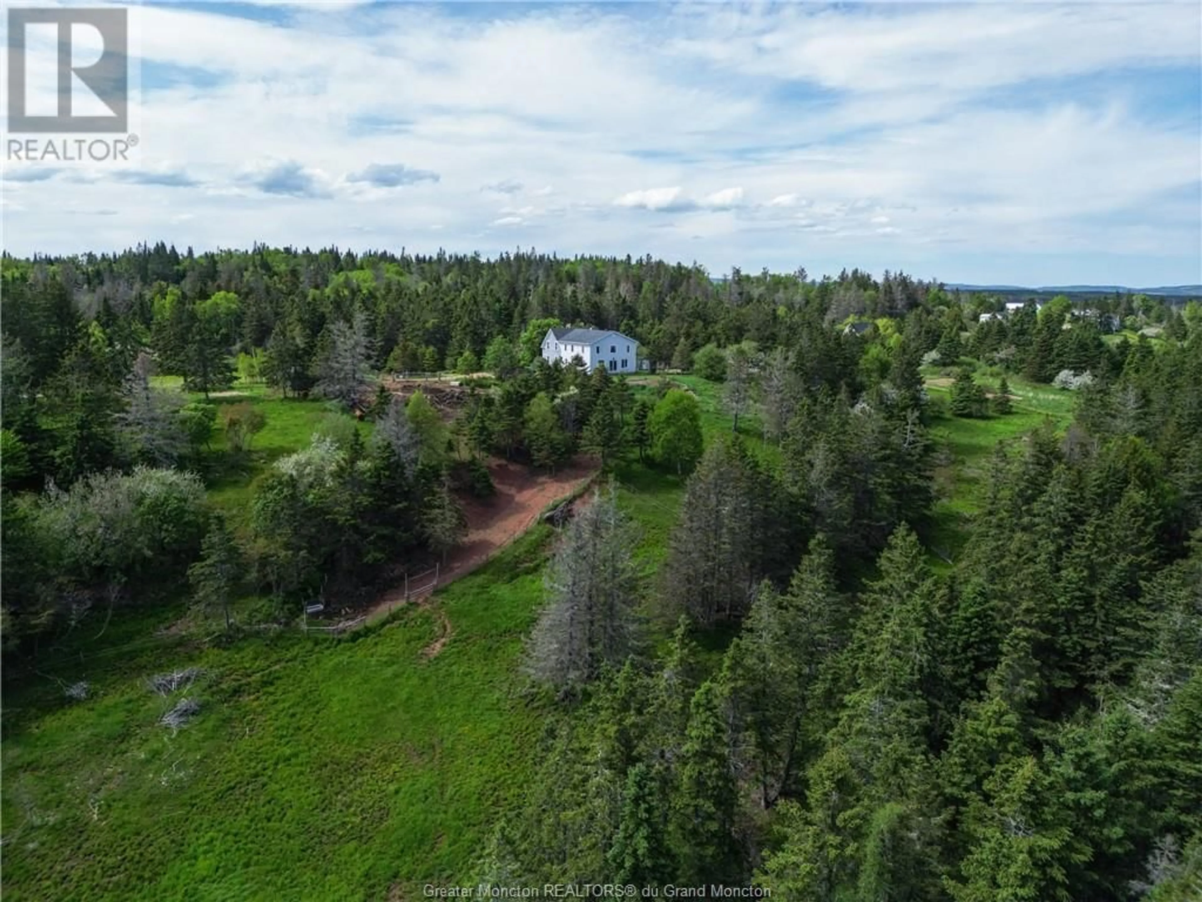 Forest view for 899 Route 915 Scenic DR, New Horton New Brunswick E4H3S9