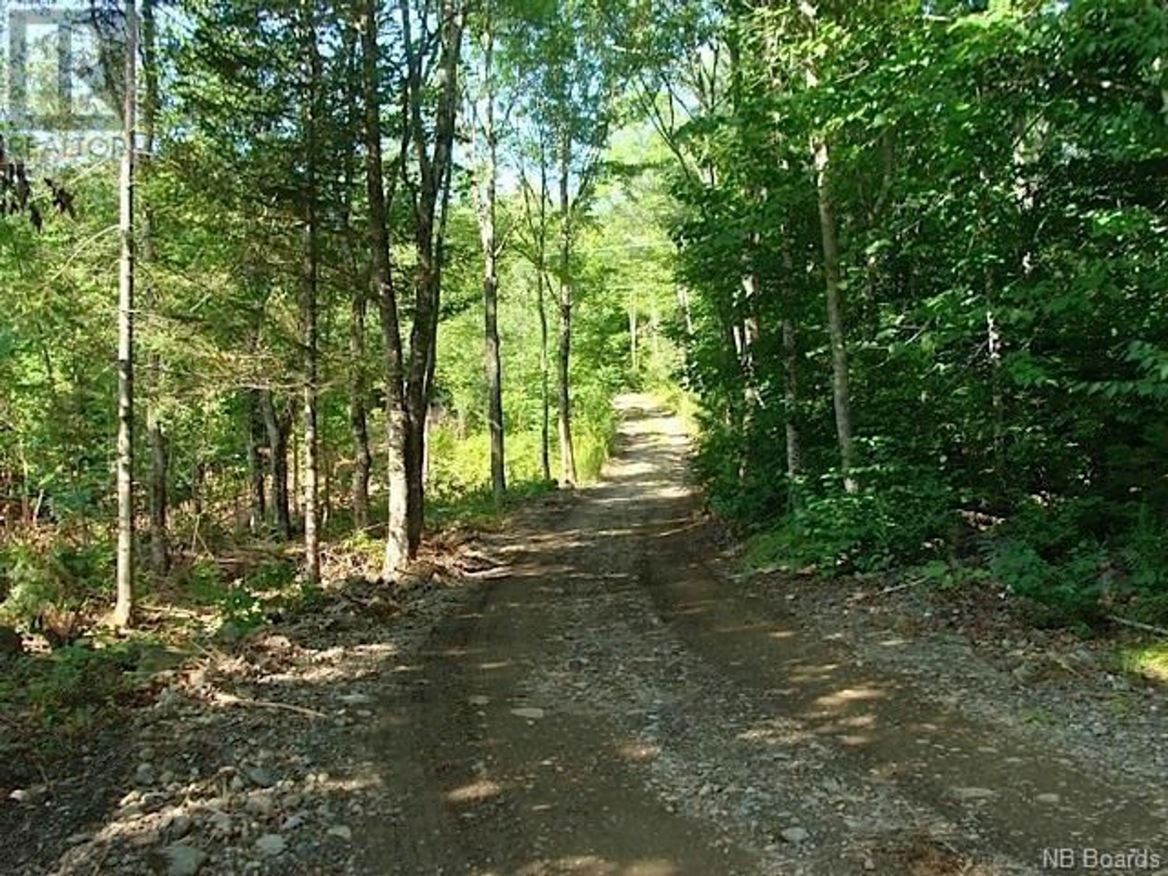 Forest view for 408 Route 540, Maxwell New Brunswick E7N2M3