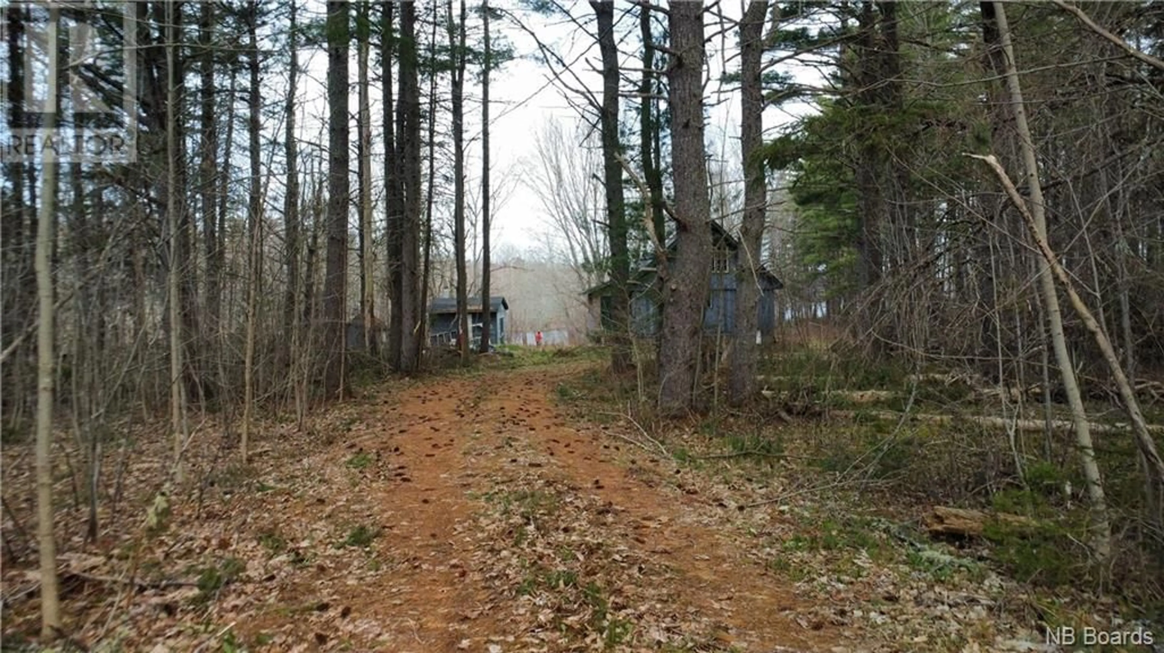 Forest view for 1768 Waterside Drive, Cambridge-Narrows New Brunswick E4C1Y4