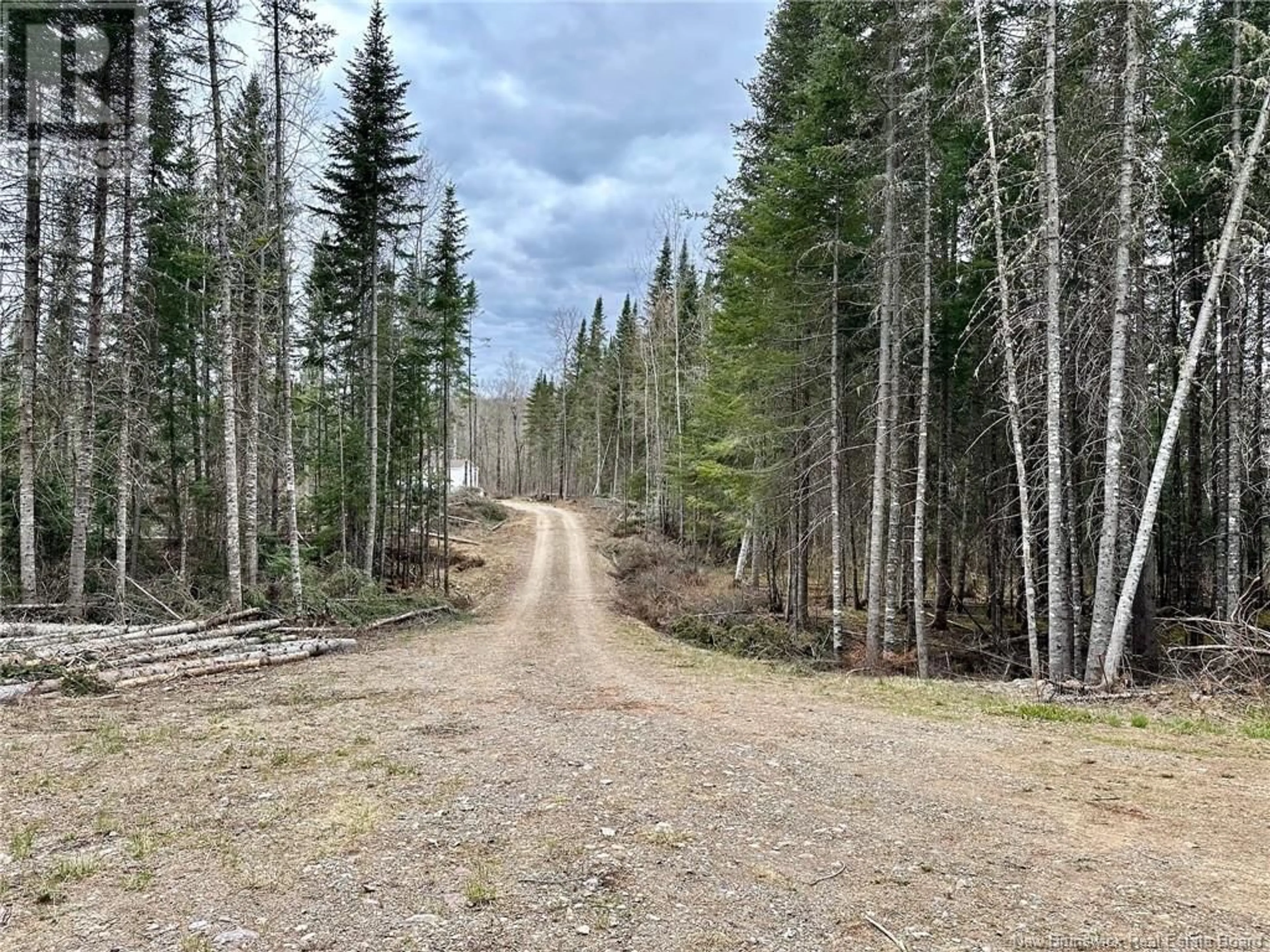 Forest view for - Gilquac Road, Oxbow New Brunswick E7G3L7